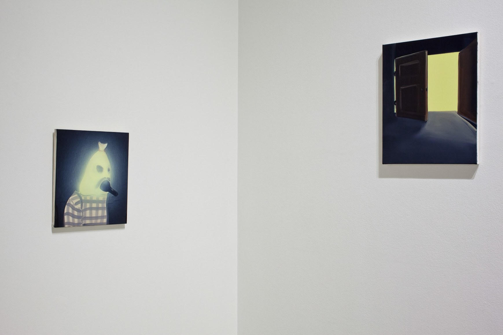 Installation view: Tala Madani: First Light, Contemporary Art Museum St. Louis, 2016