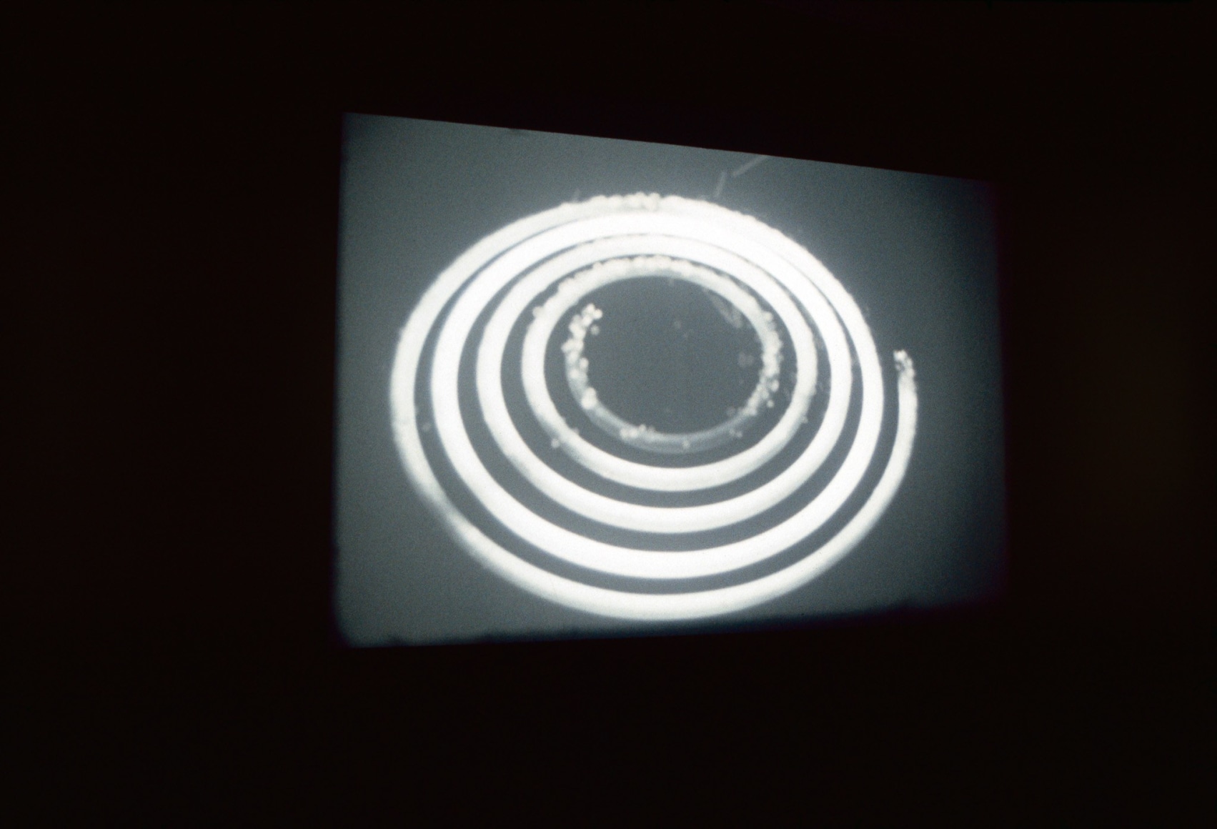 Rodney Graham, Coruscating Cinnamon Granules, 1996, Installation view: 303 Gallery, 2001