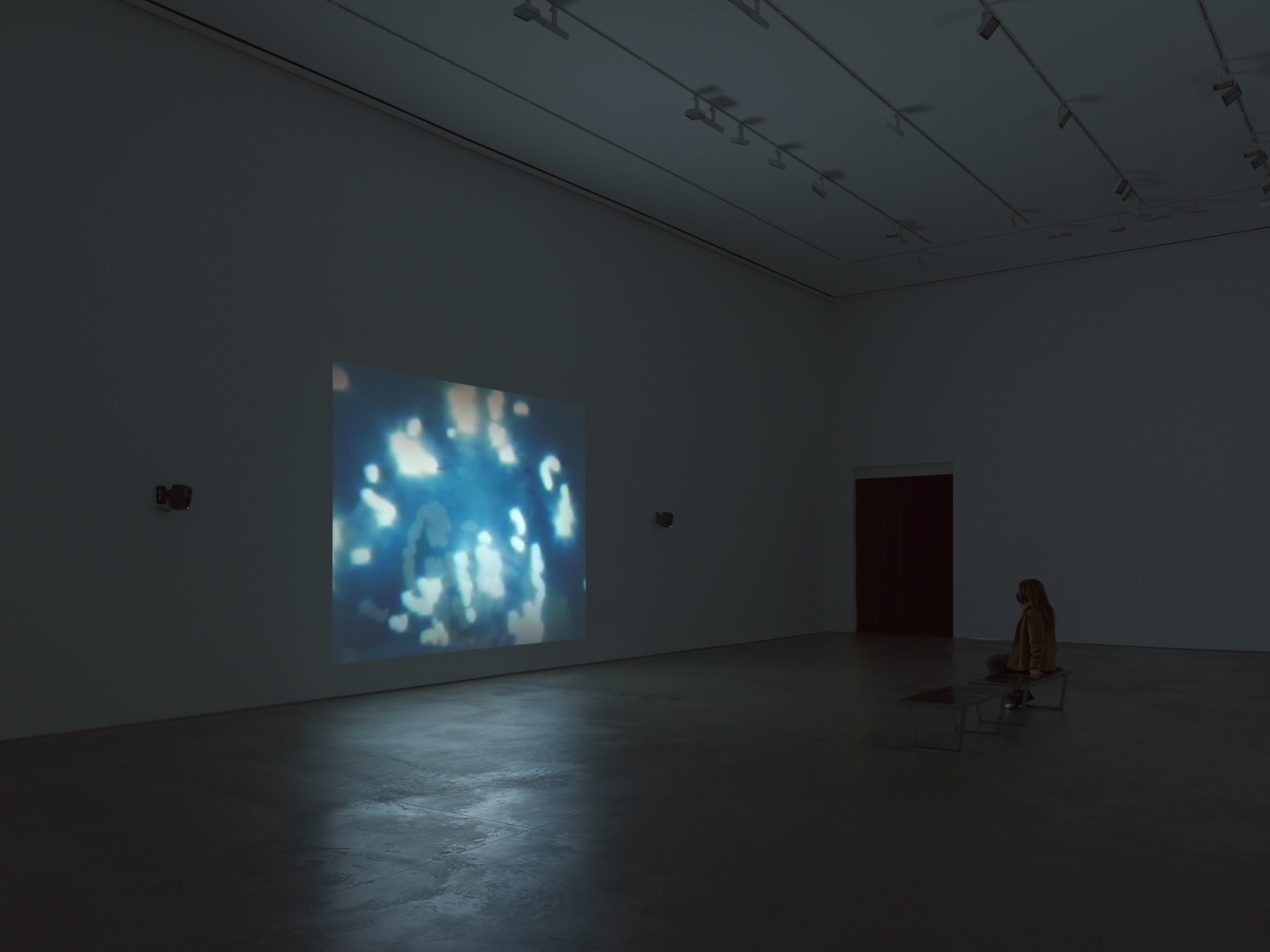 Kristin Oppenheim, Bang Bang,&nbsp;2020