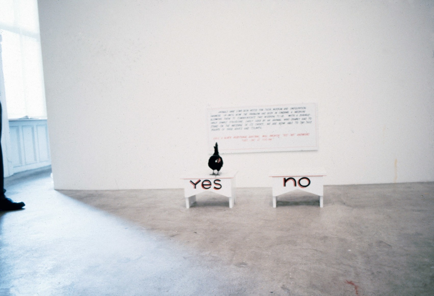 Installation view, One Leading To Another