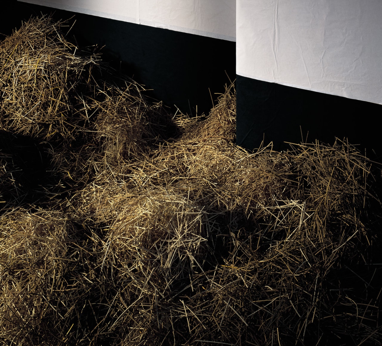 Thomas Demand, Stall/Stable, 2000