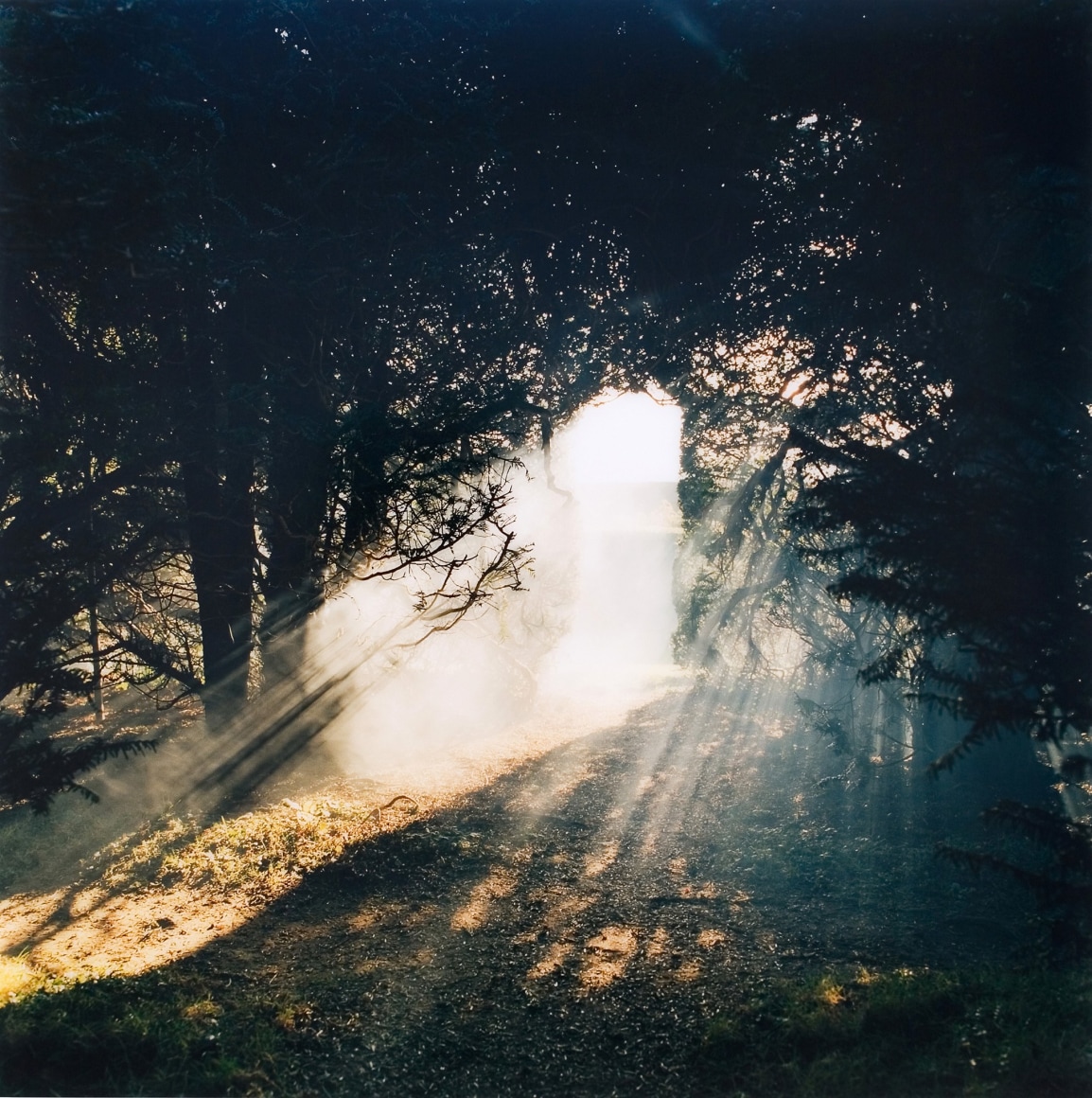 Jane and Louise Wilson, The Silence is Twice as Fast Backwards III, 2008