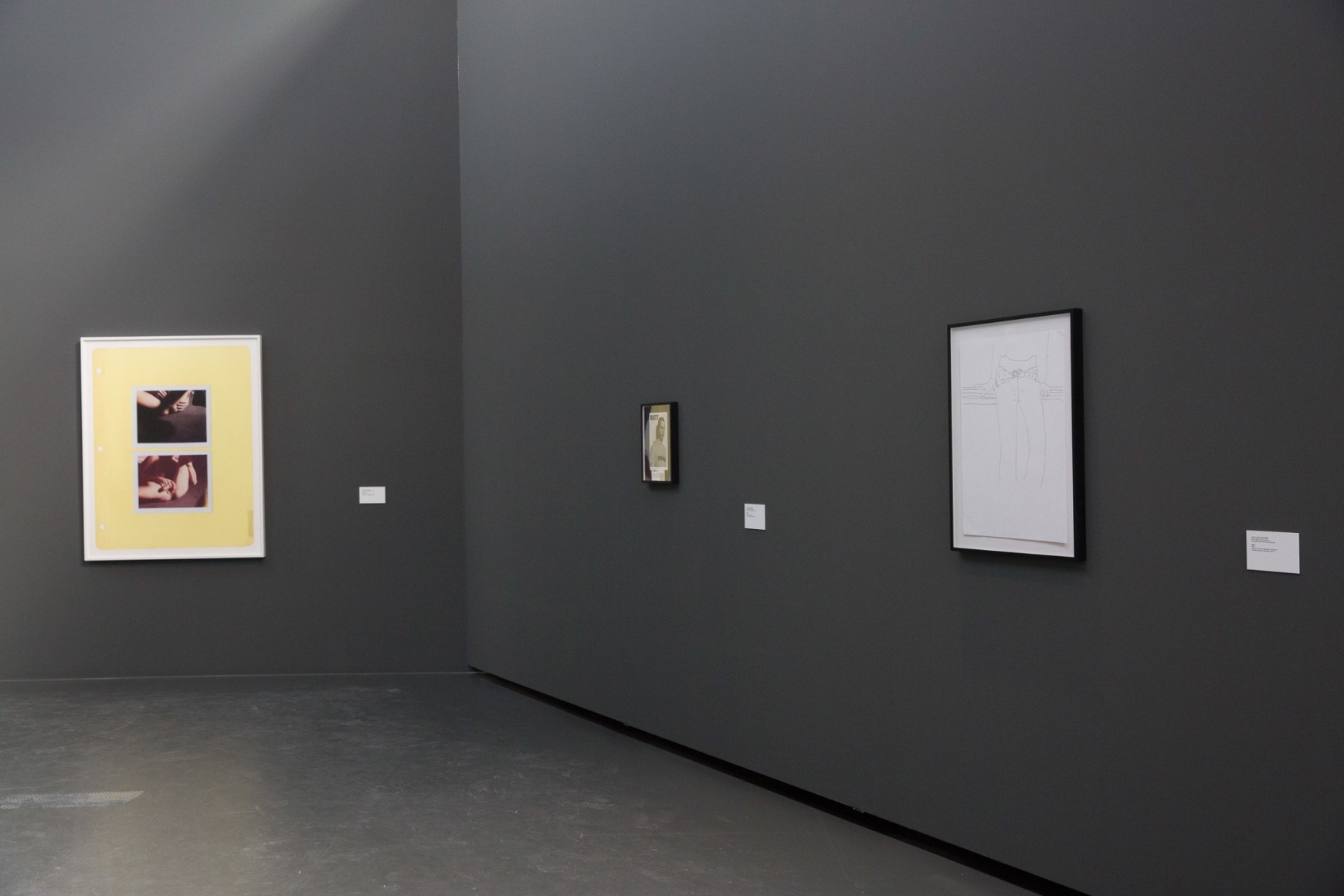 Collier Schorr: Shutters, Frames, Collections, Repetition, LUMA Arles, 2016