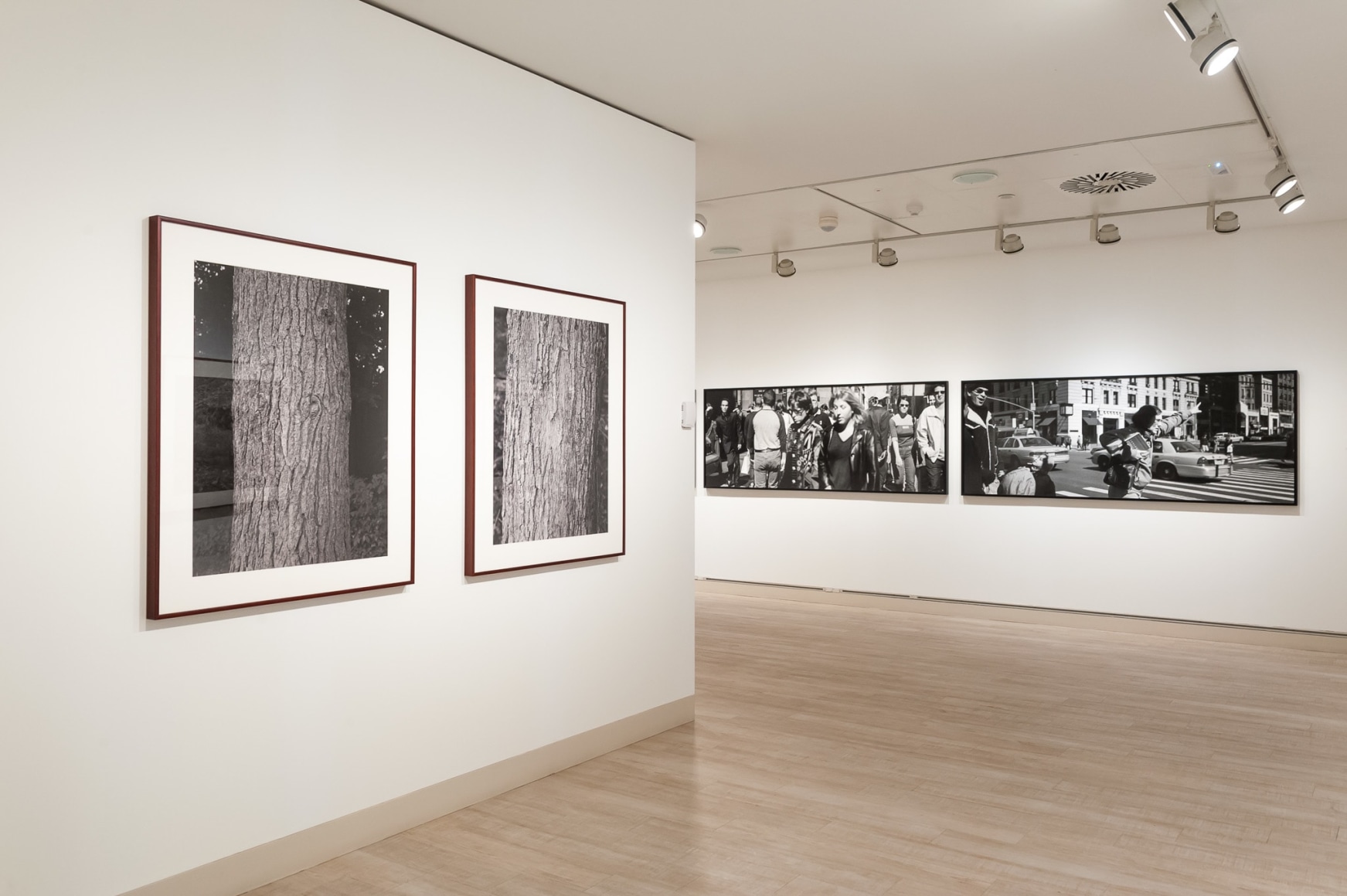 Stephen Shore, Installation view: Fundación MAPFRE, Madrid, 2014