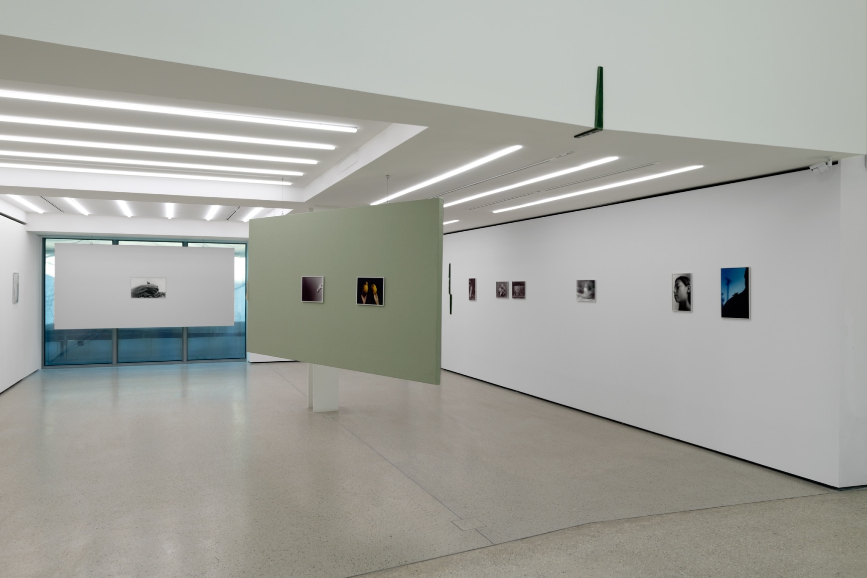 Installation view: Katinka Bock, Der Sonnestich, Fondation Pernod Ricard, Paris, February 13 - April 29, 2023. Photo: Aurélien Mole