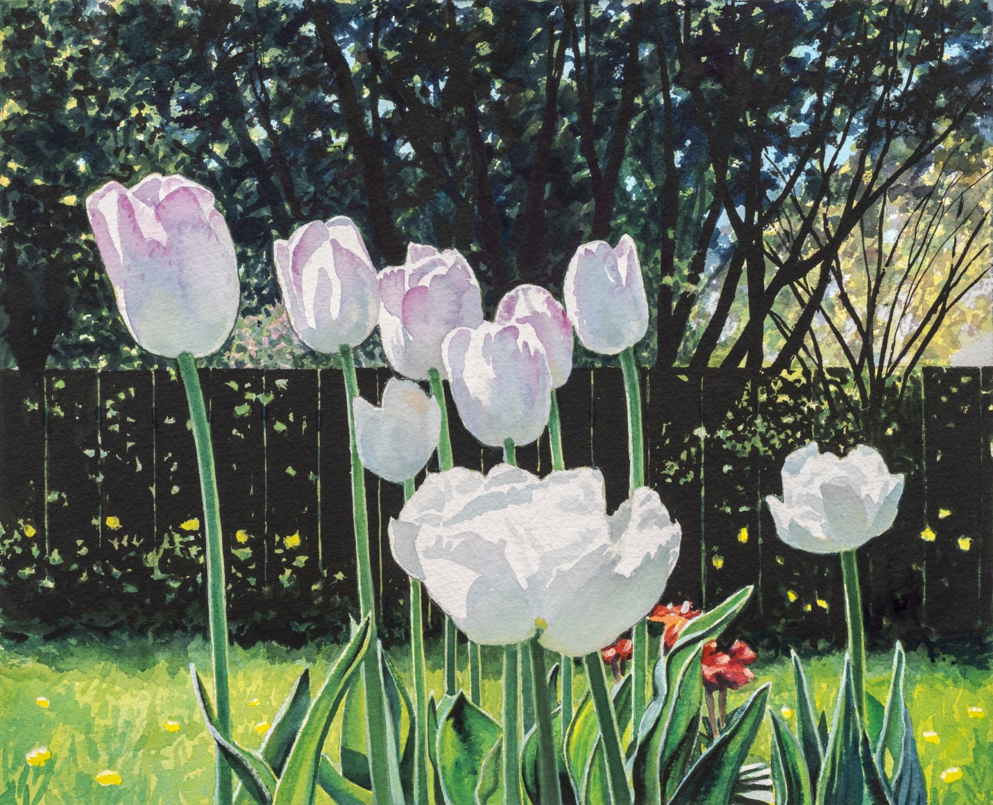 Tim Gardner, Untitled (garden)