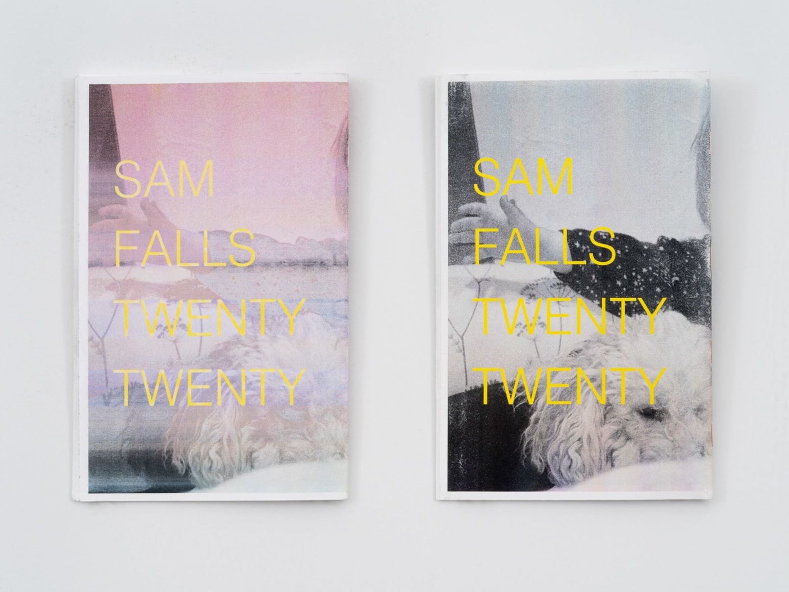 Sam Falls: Mother Nature Sister Brother