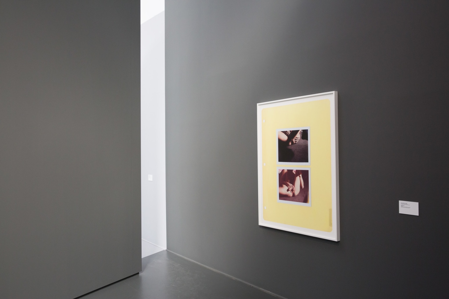 Collier Schorr: Shutters, Frames, Collections, Repetition, LUMA Arles, 2016