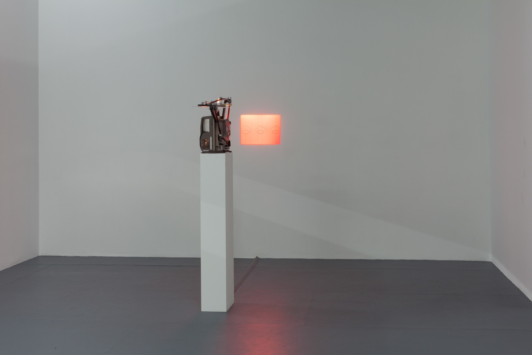 Elad Lassry, Installation view: Untitled (Presence), The Kitchen New York, 2012