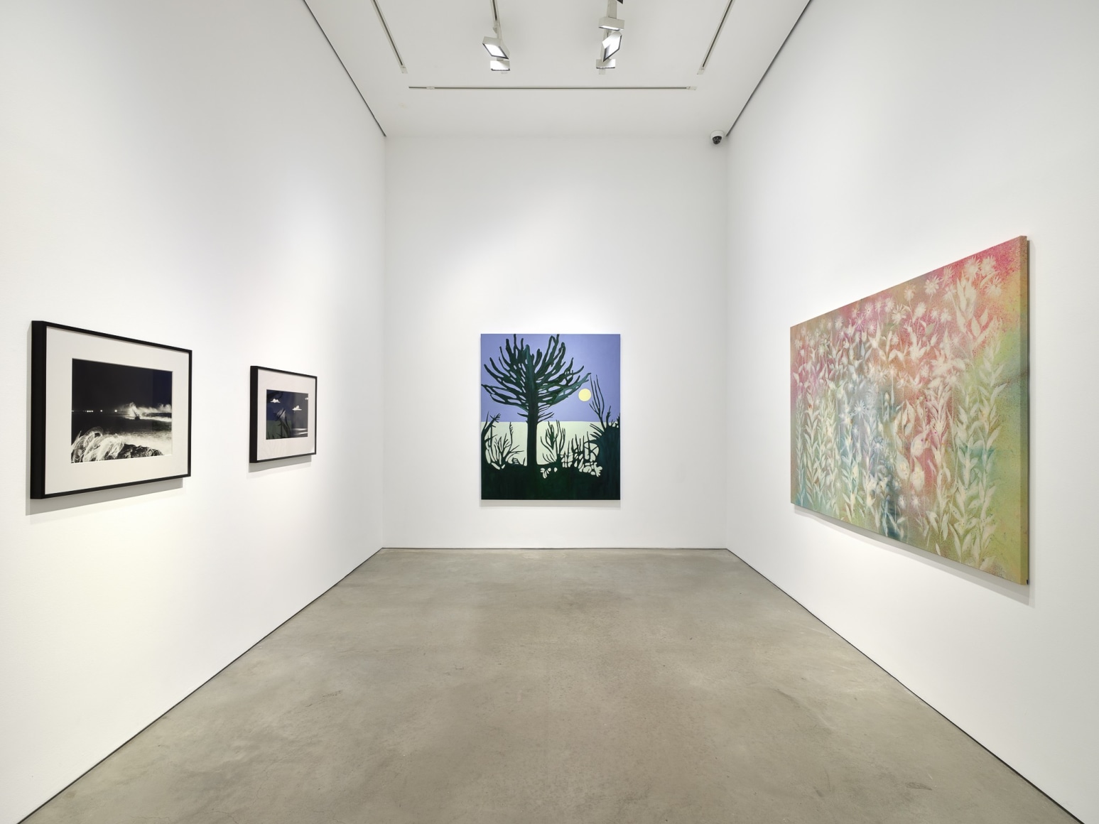 Installation view: 303 Gallery: 40 Years, 303 Gallery, New York, 2024. Photo: Justin Craun