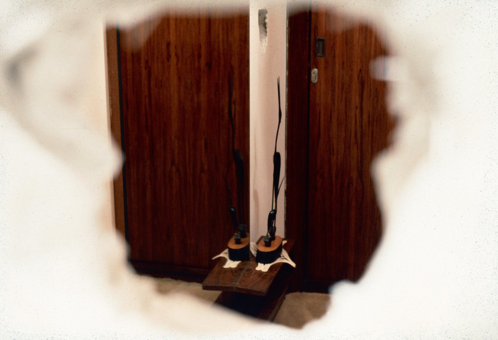 Meyer Vaisman, Green on the Outside, Red on the Inside, 1996