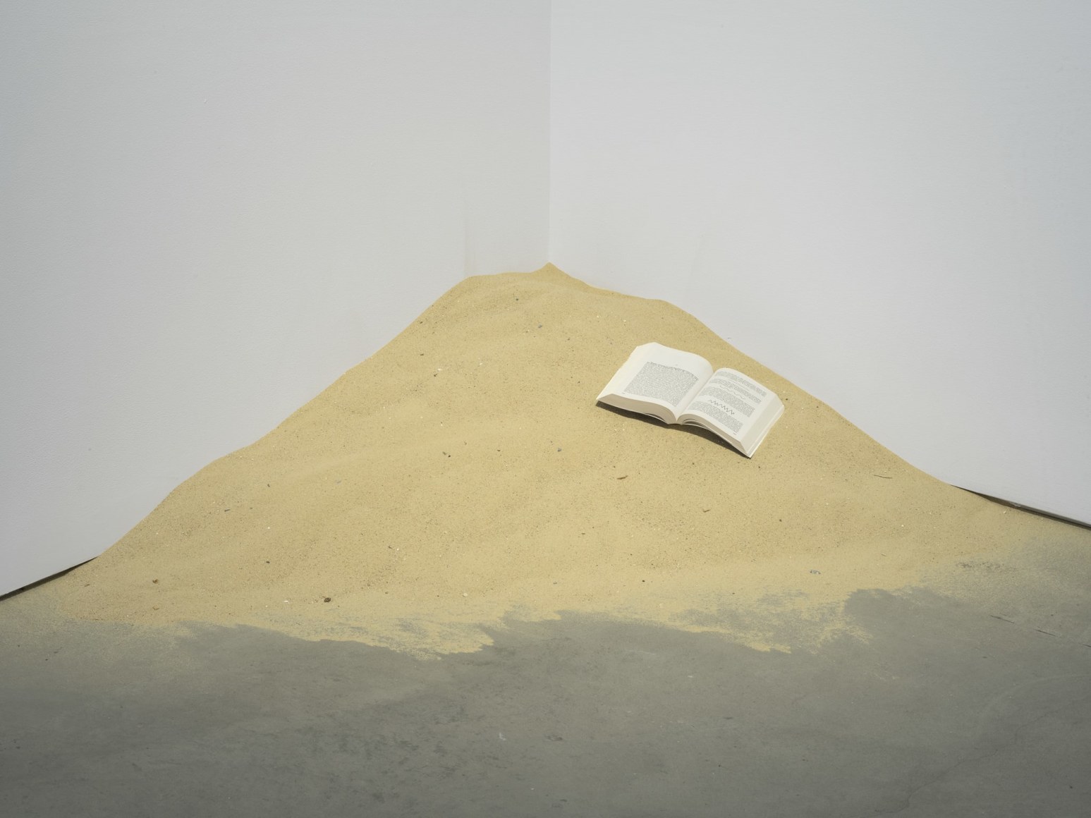 Dominique Gonzalez-Foerster, Untitled