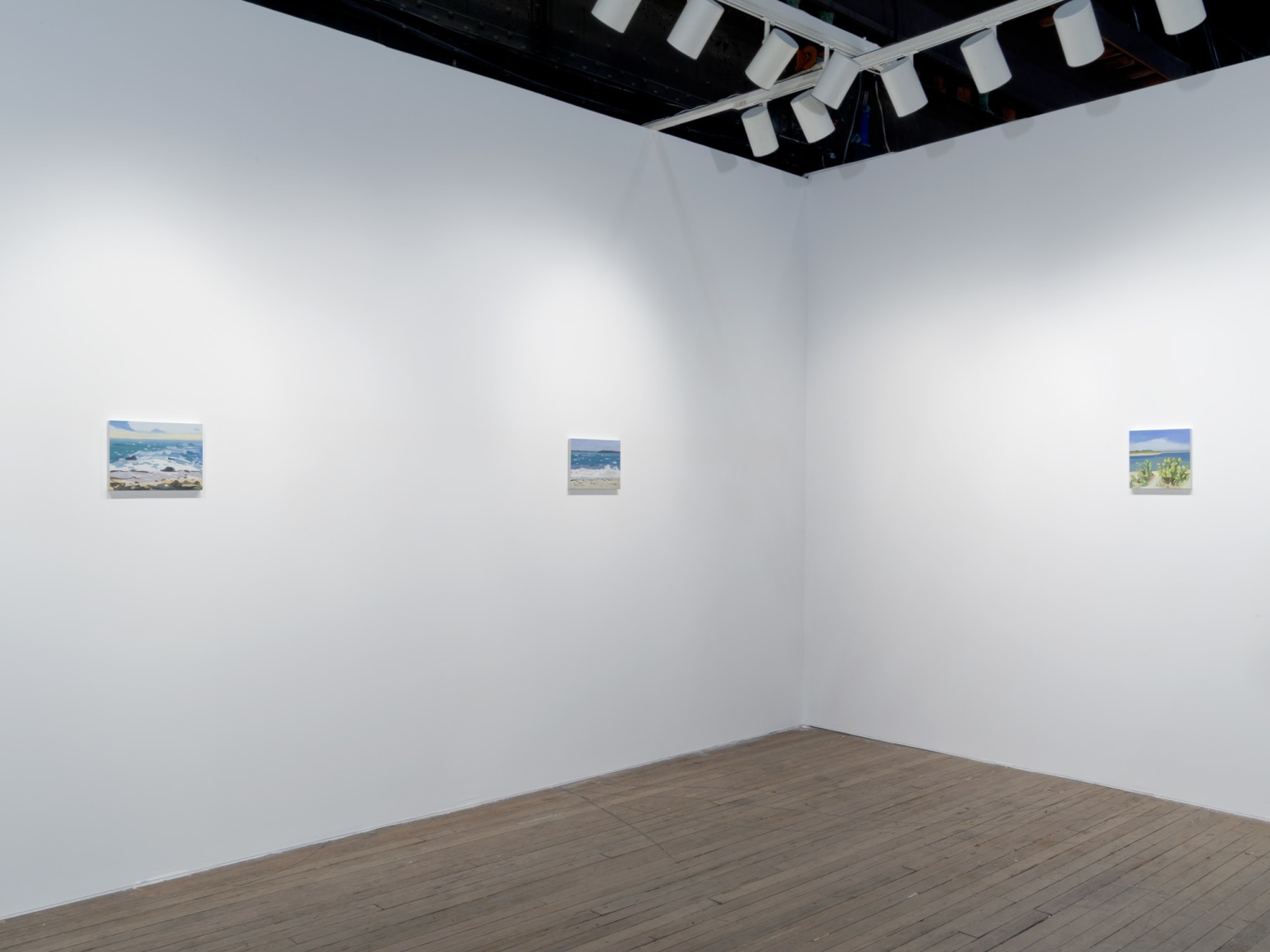 Installation view Maureen Gallace