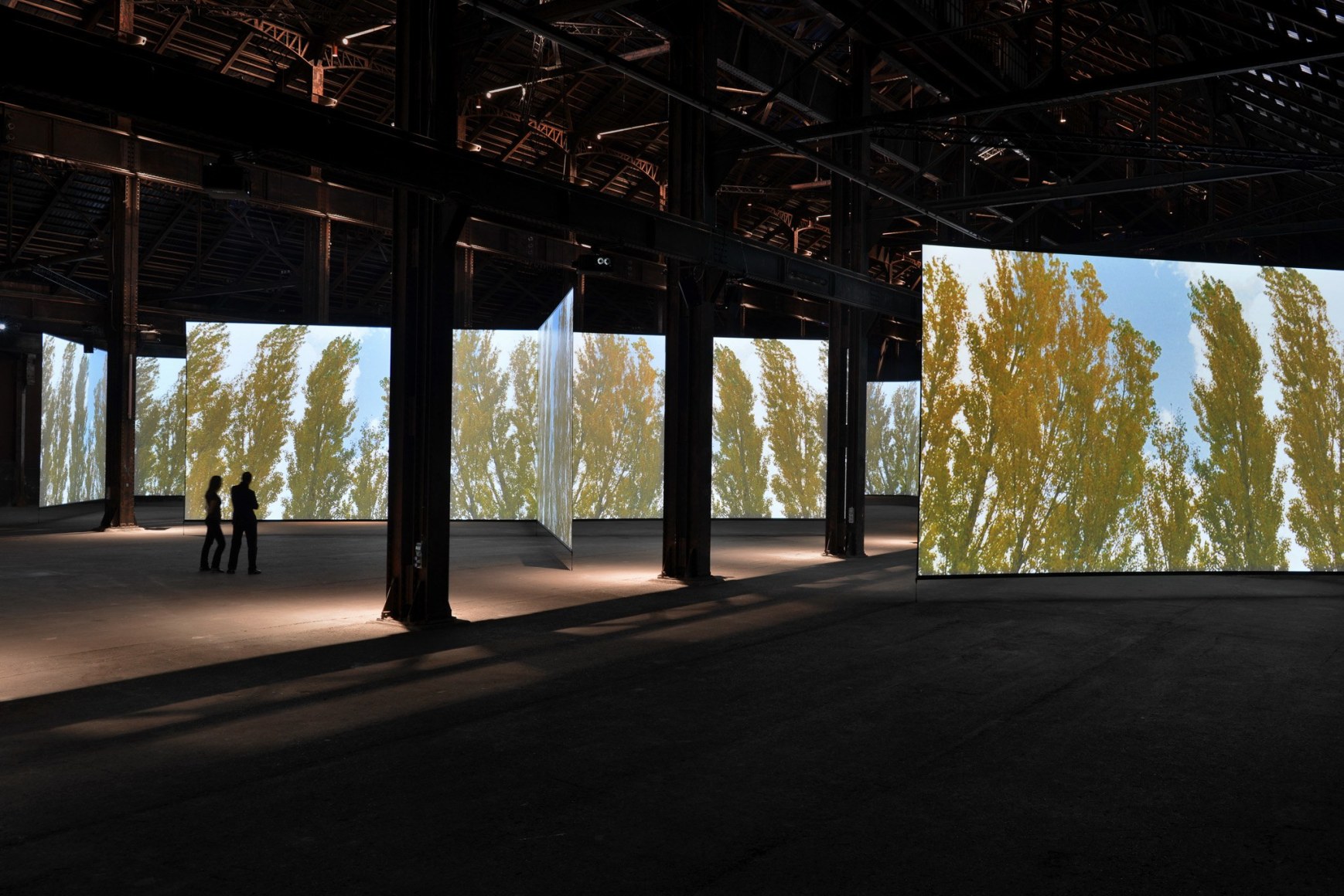 Doug Aitken, ALTERED EARTH, 2012