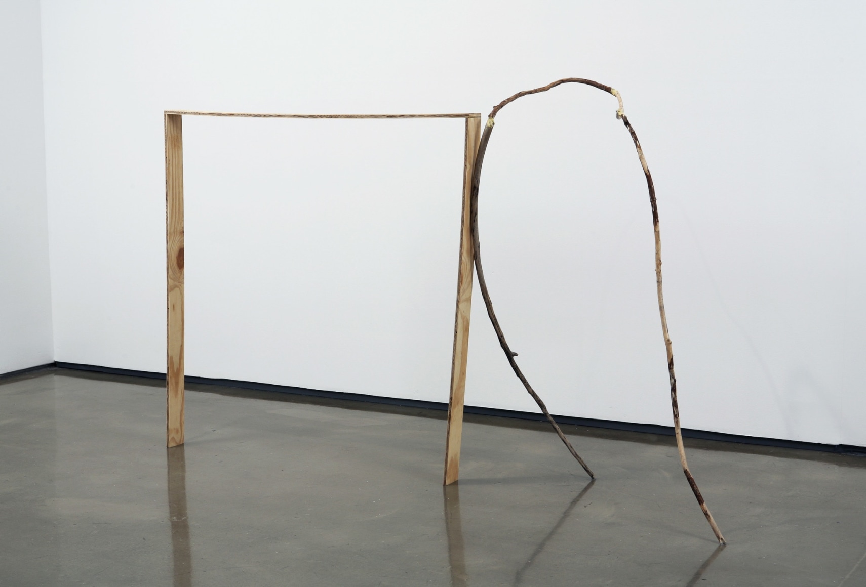 Gedi Sibony, A Sense of The, 2006