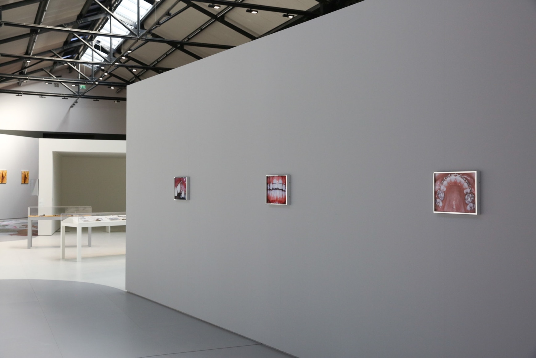 Elad Lassry: Untitled
