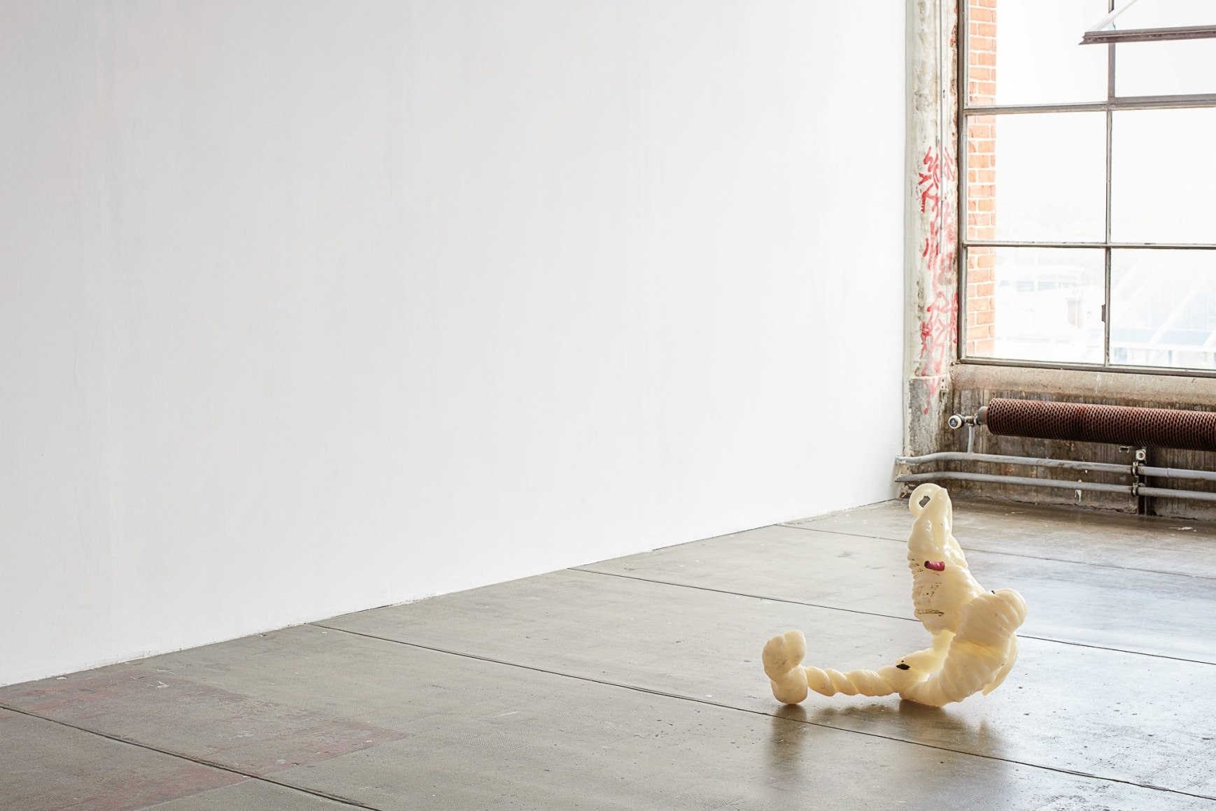 Nina Canell, Shedding Sheaths (B)