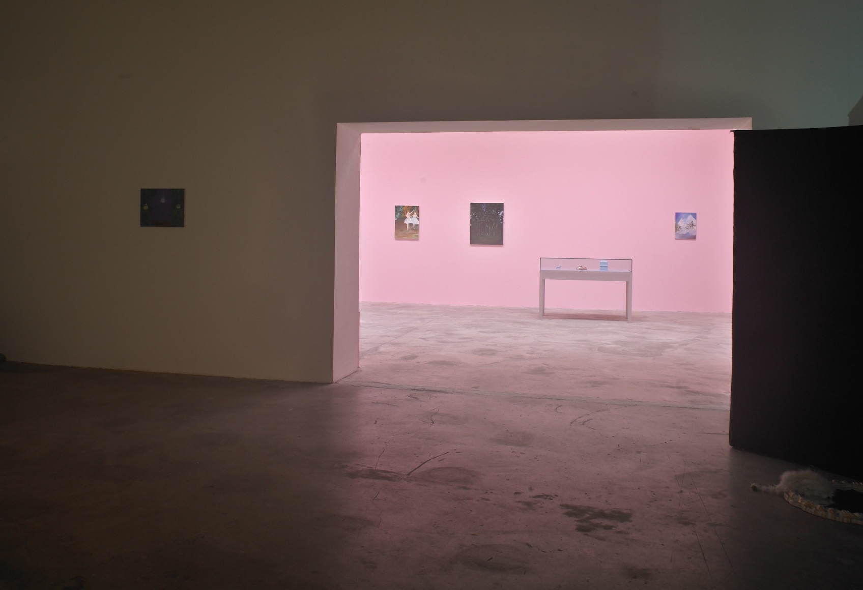 Karen Kilimnik, Le Consortium, Dijon, 2007