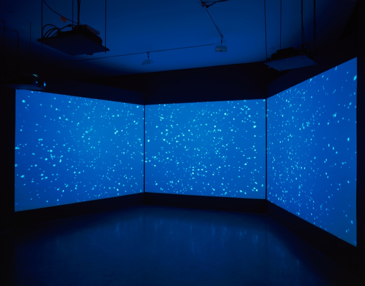 Stephen Murphy, Snowfall, 1999