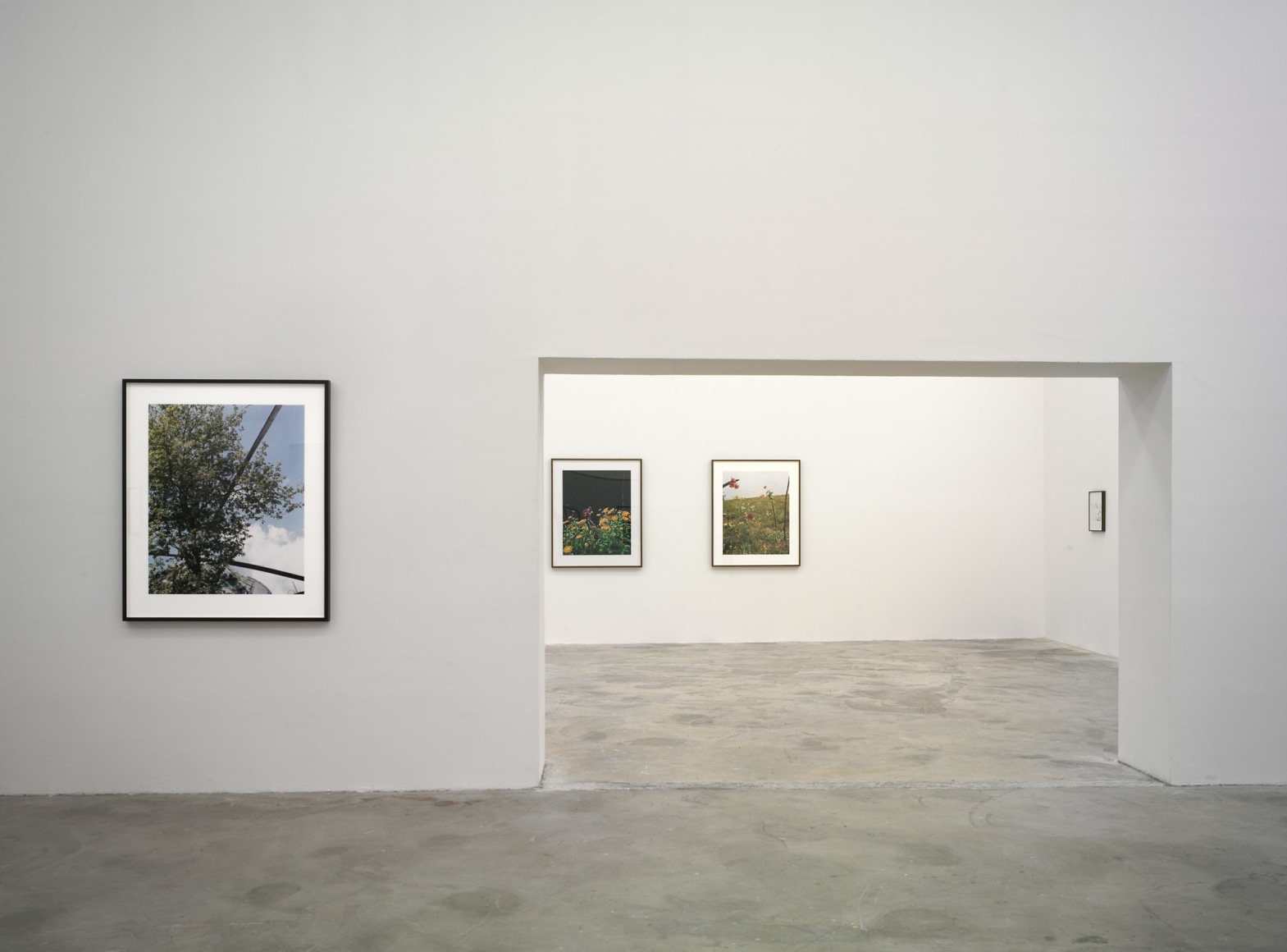 Collier Schorr Installation view:&nbsp;There I Was