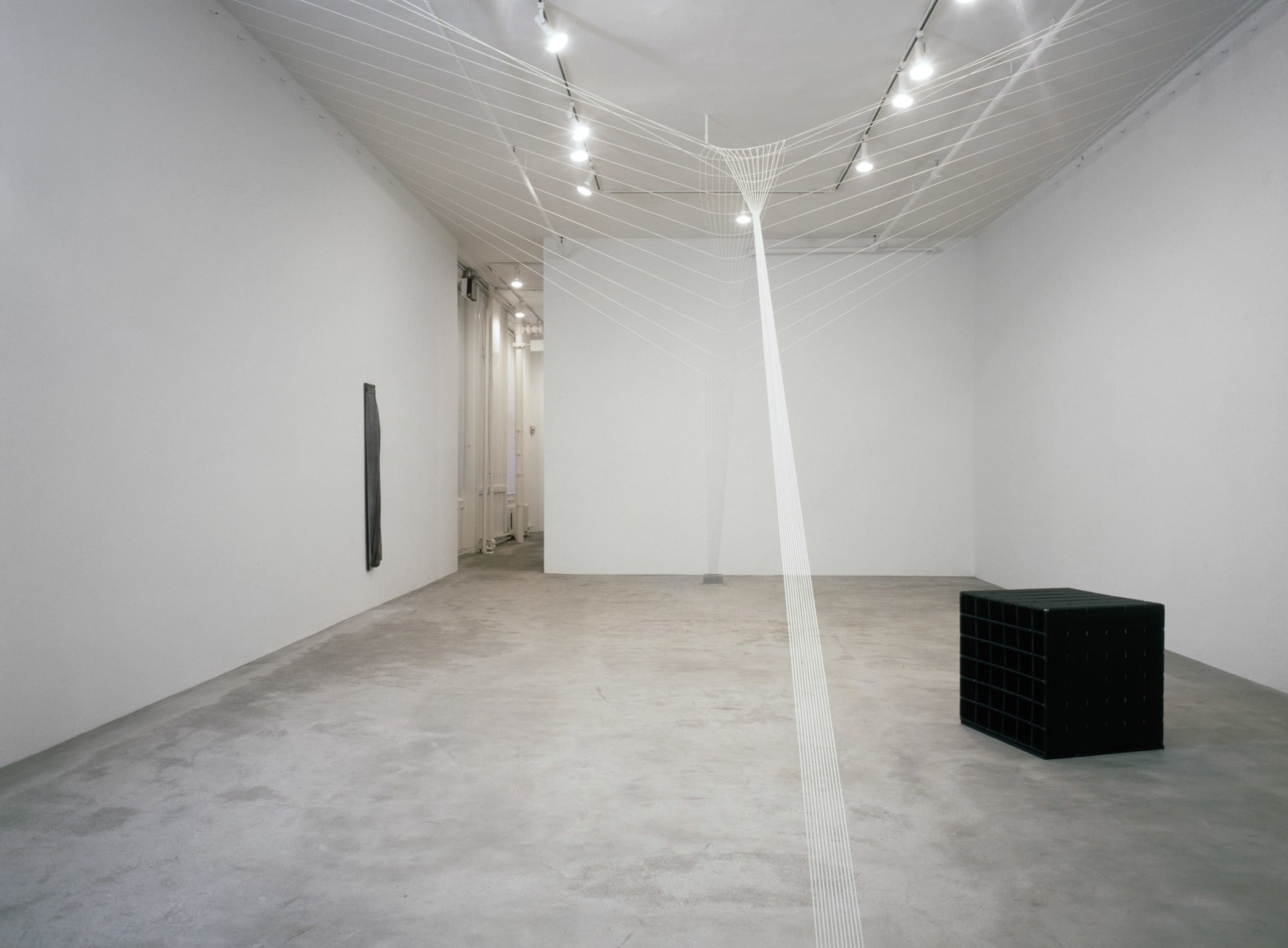 Liz Larner, Installation view: 303 Gallery, 1989