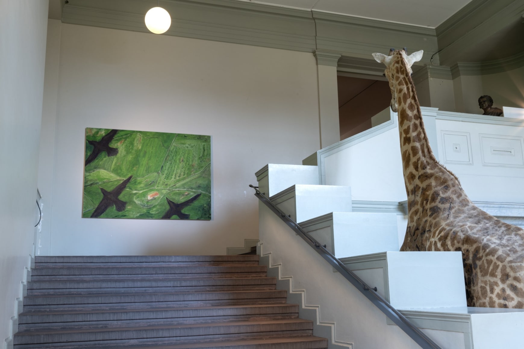 Installation view: Tanya Merrill, Parcours, Natural History Museum Basel, 2023. Photo: Finn Curry