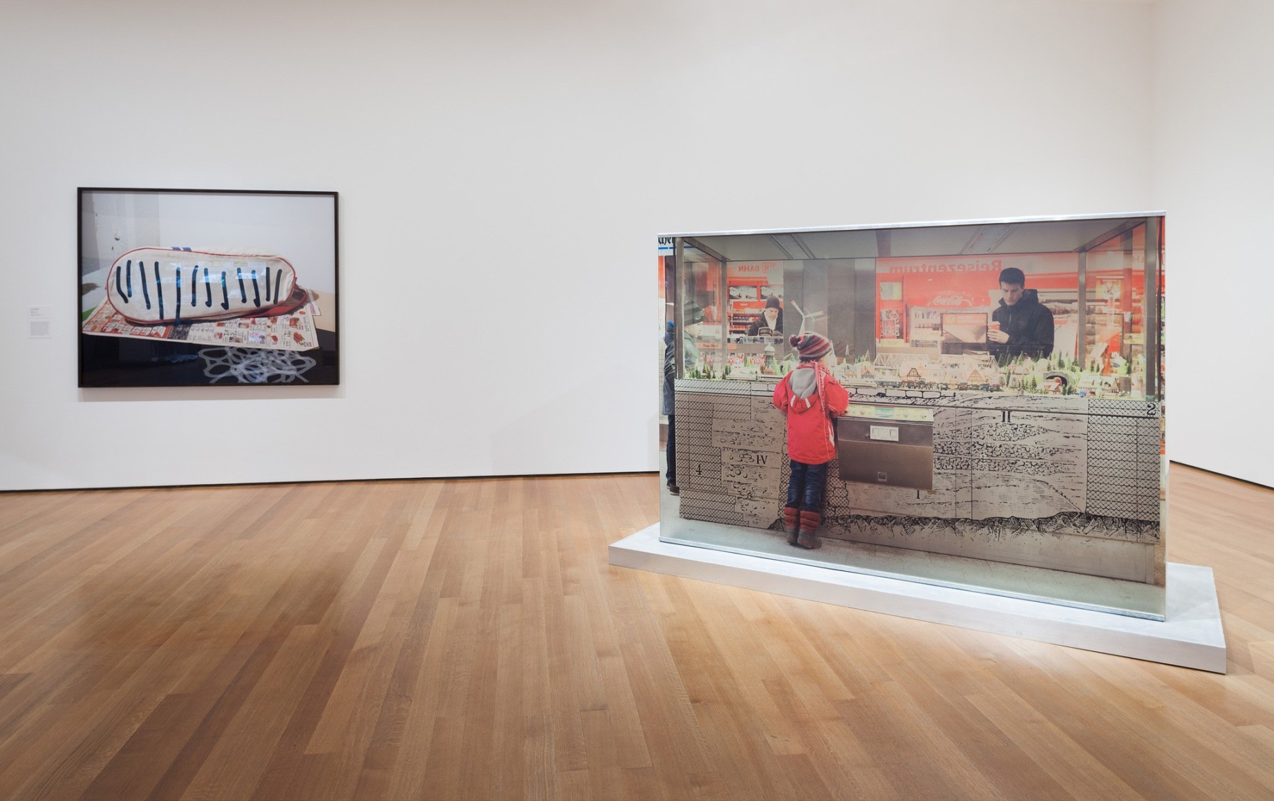 Marina Pinsky, Installation view: Ocean of Images: New Photography 2015, MoMA, New York