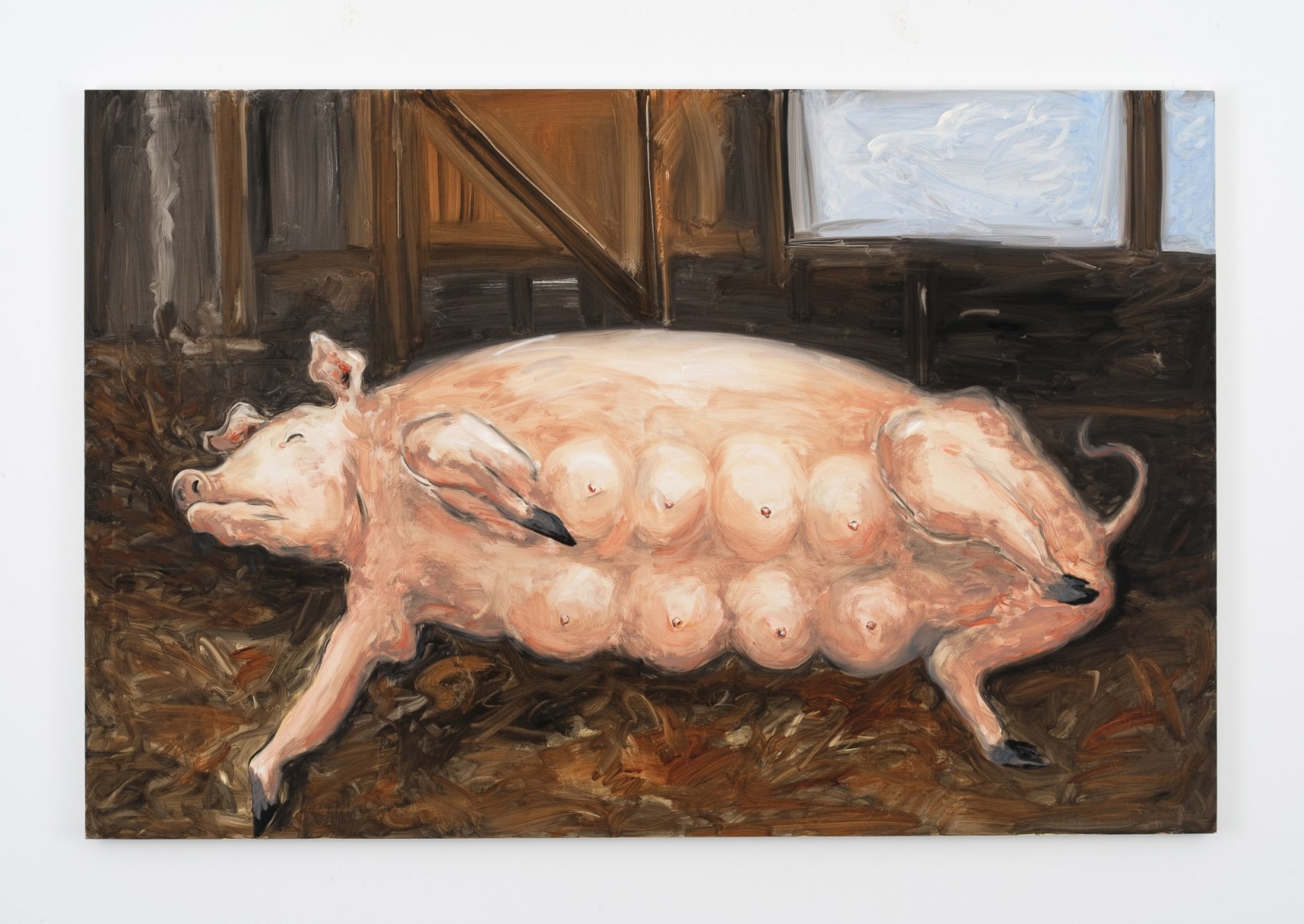 Tanya Merrill, Hog on Her Side