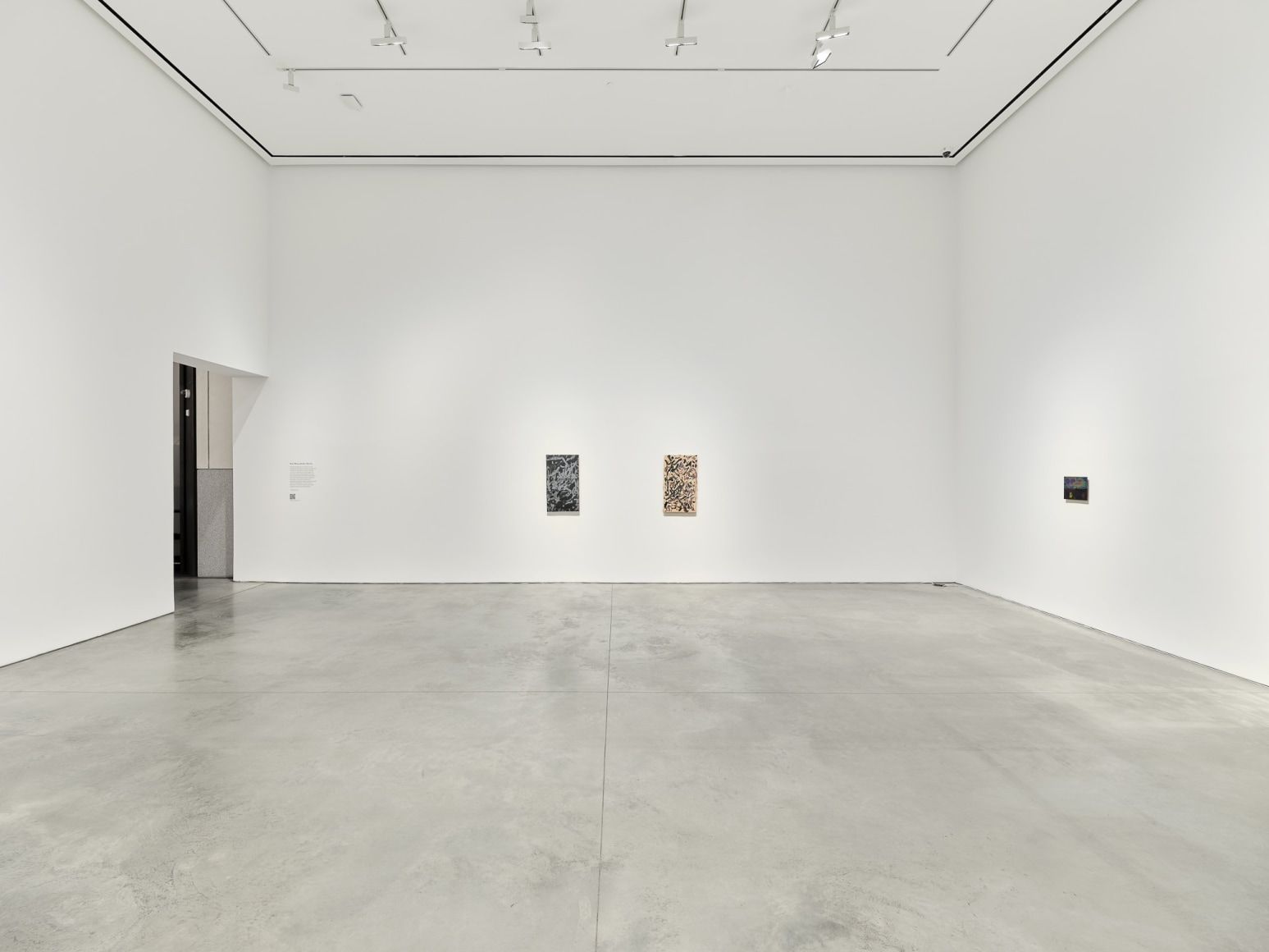 Installation view: Nick Mauss and Ken Okiishi, 303 Gallery, New York, 2025, Photo: Justin Craun