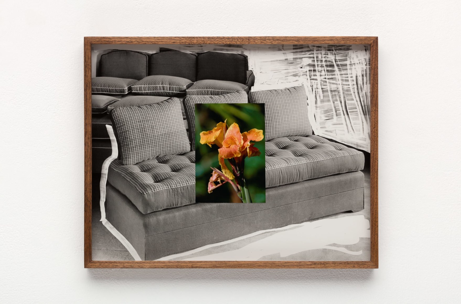 Elad Lassry, Untitled (Sofa, Canna Lilies)
