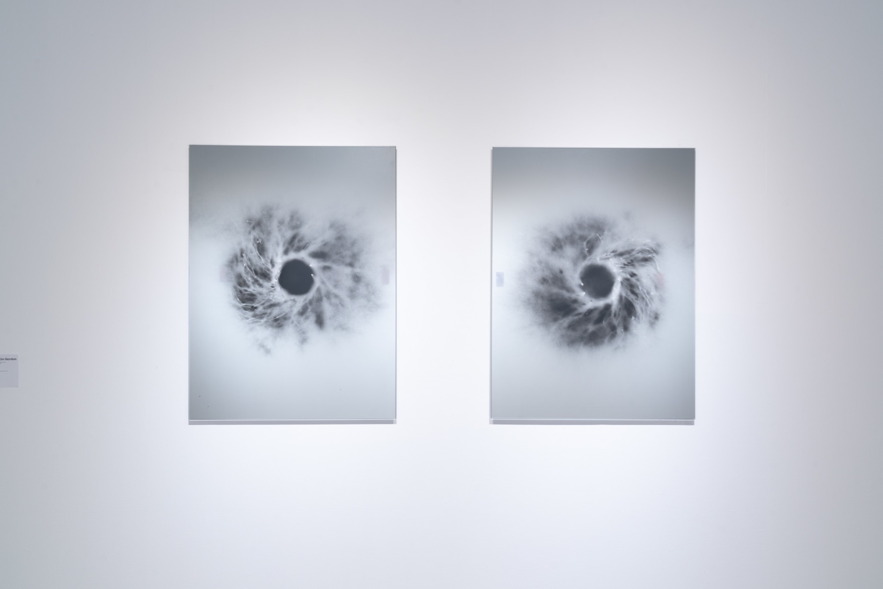 Kim Gordon: Object Of Projection, Curated by Lawrence English 
