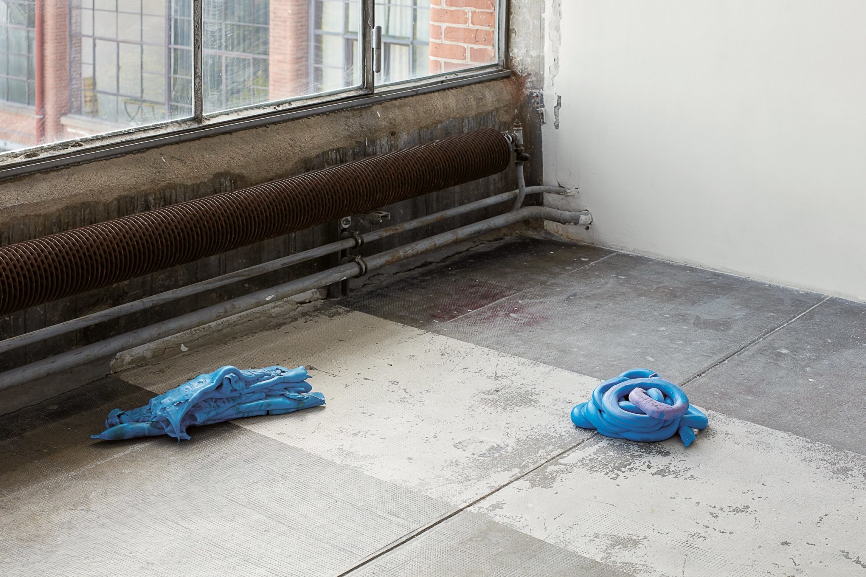 Nina Canell, Installation view: Dolphin Dandelion, Le Crédac, Paris Ivry-sur-Seine, 2017