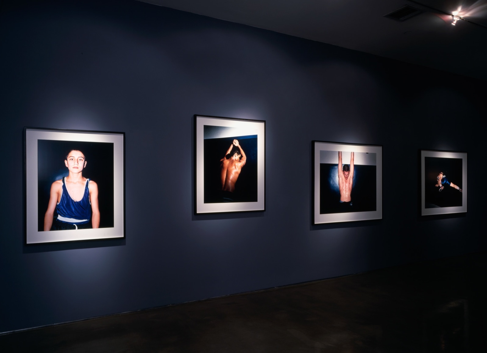 Collier Schorr 303 Gallery, New York