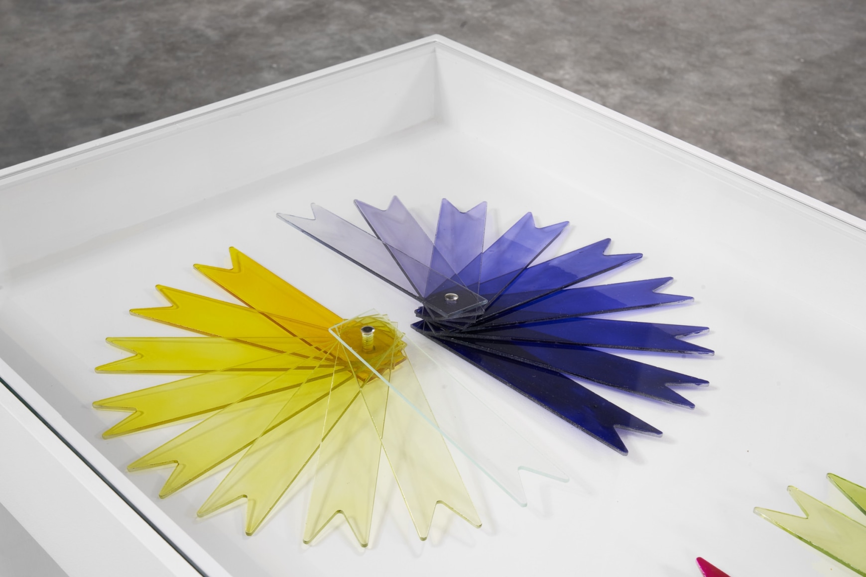 Marina Pinsky, Installation view:
Undertow,
Simian, Copenhagen, 2021. Photo: GRAYSC