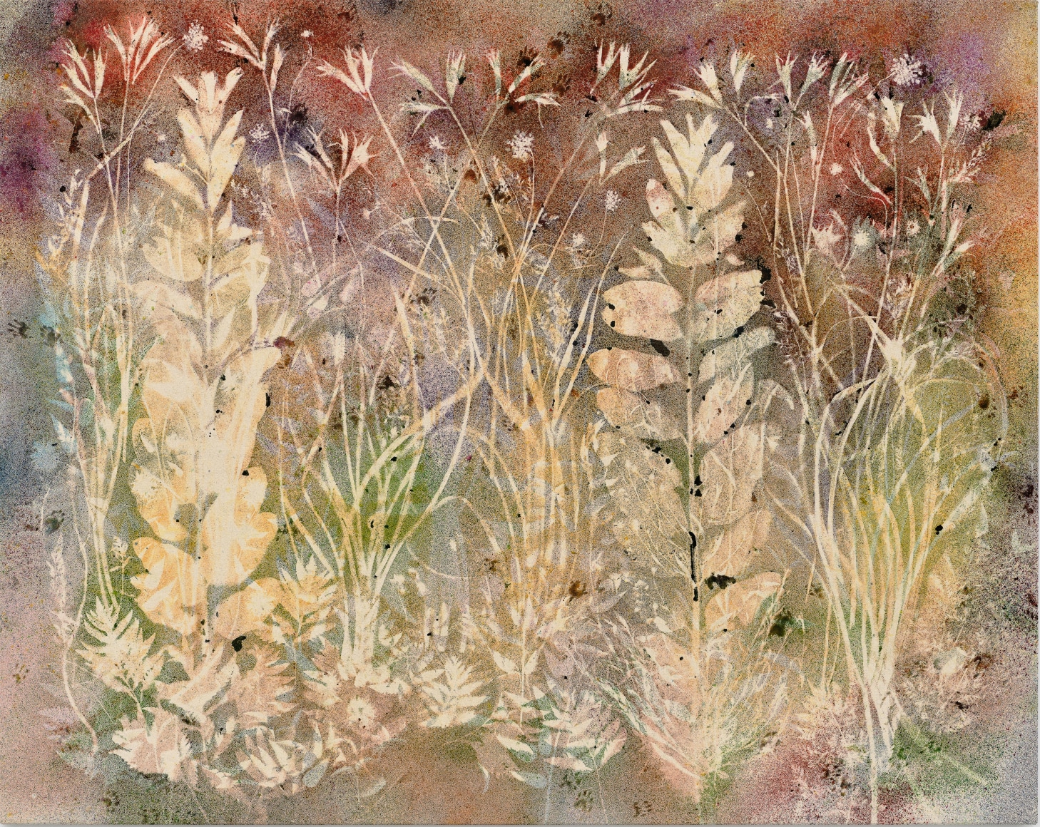 Sam Falls, Setting Summer