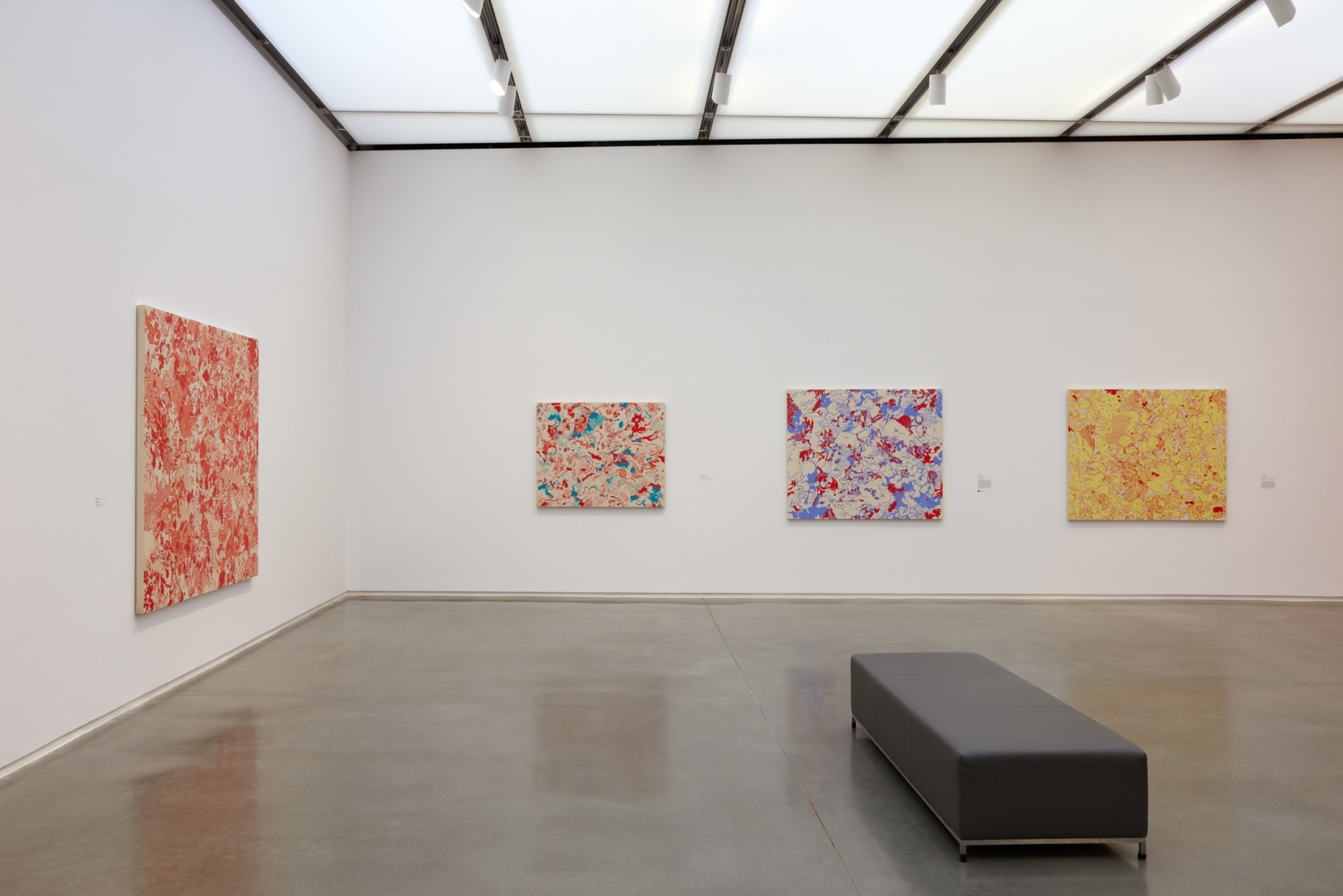 Sue Williams, Installation view: Figuring Color, ICA, Boston, 2012