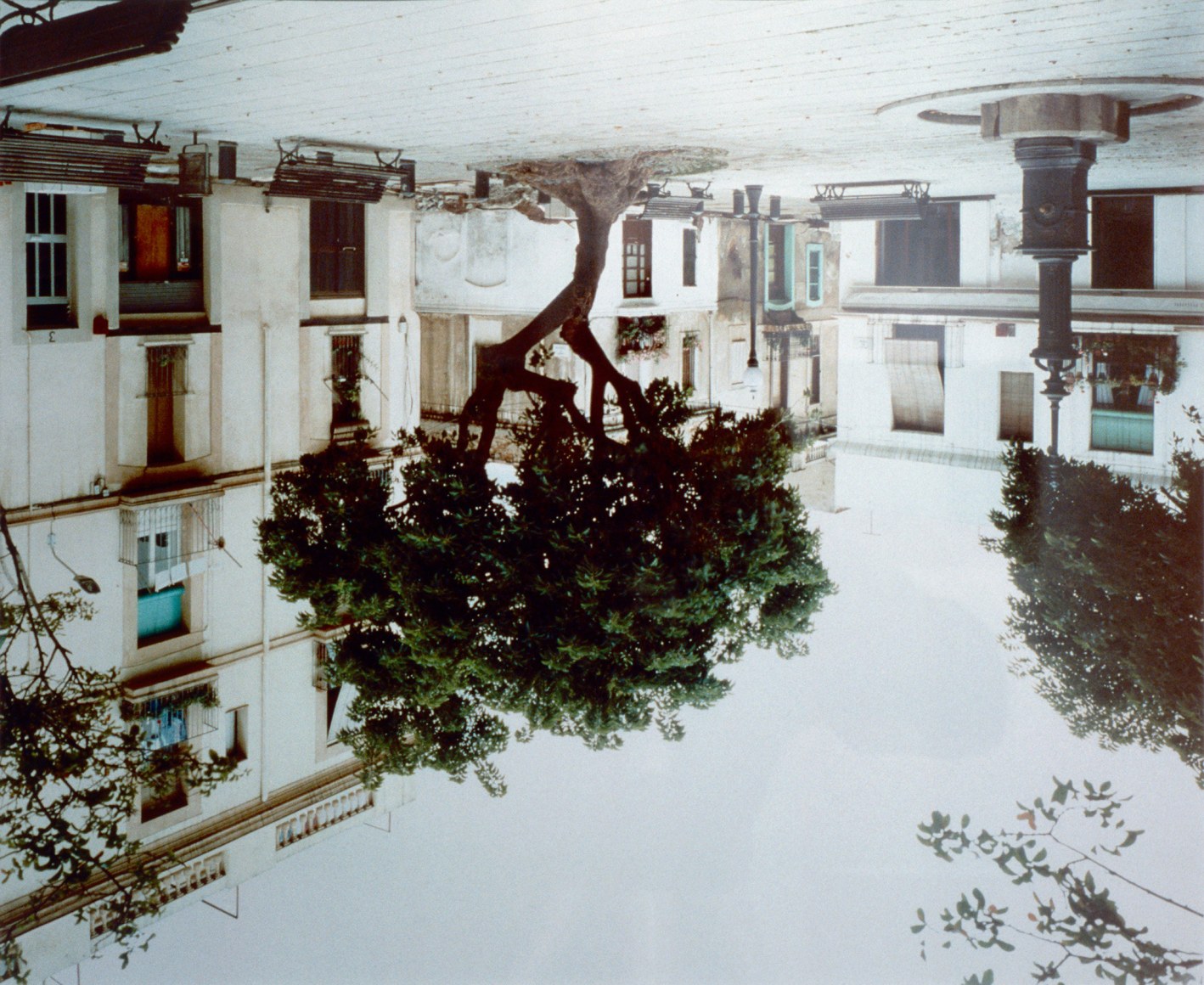 Rodney Graham, Bellas Ombras, Placas Prim, 1994
