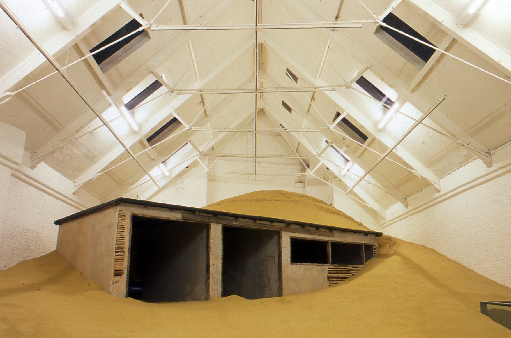 Mike Nelson Triple Bluff Canyon