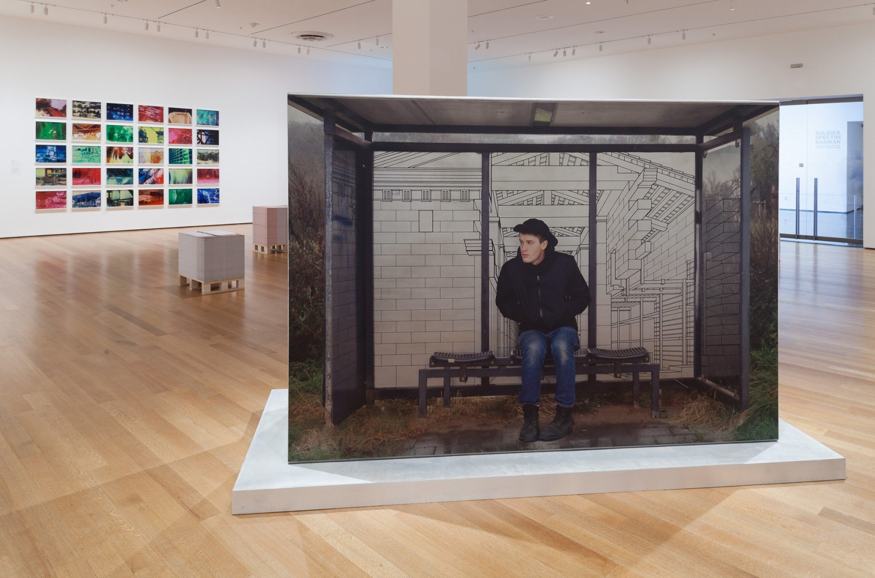 Marina Pinsky, Installation view: Ocean of Images: New Photography 2015, MoMA, New York