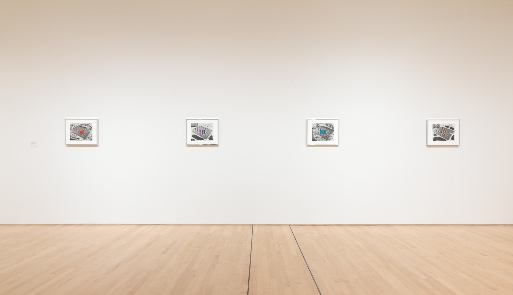 Elad Lassry, 2020 (installation view, SFMOMA); photo: Katherine Du Tiel /Jason Wittig