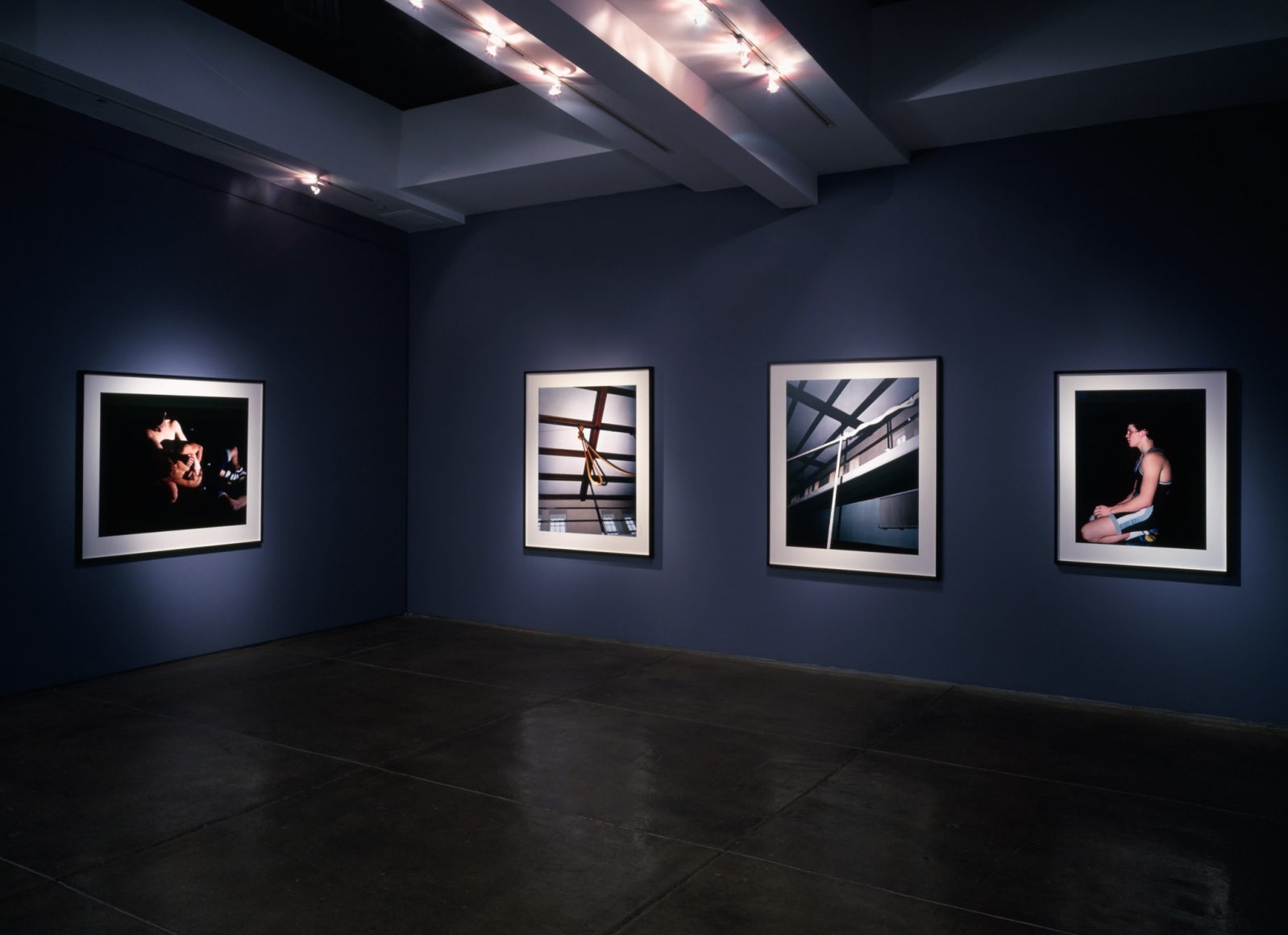 Collier Schorr 303 Gallery, New York