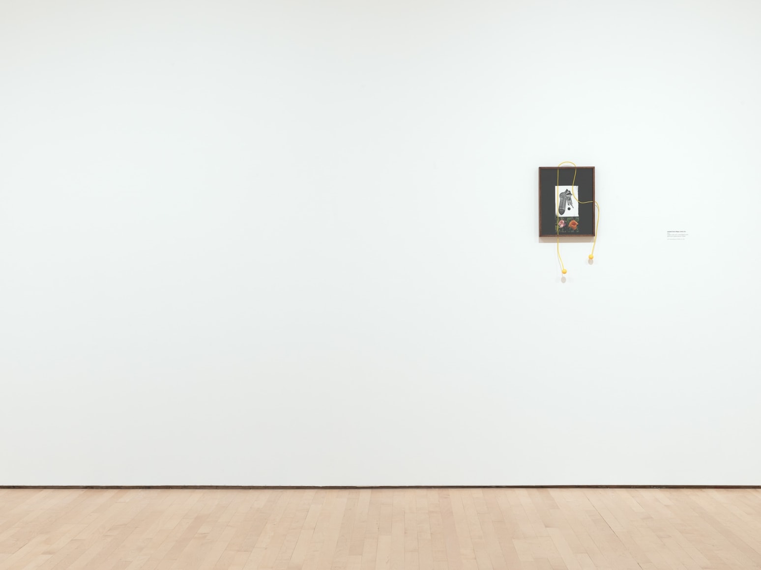 Elad Lassry, 2020 (installation view, SFMOMA); photo: Katherine Du Tiel /Jason Wittig