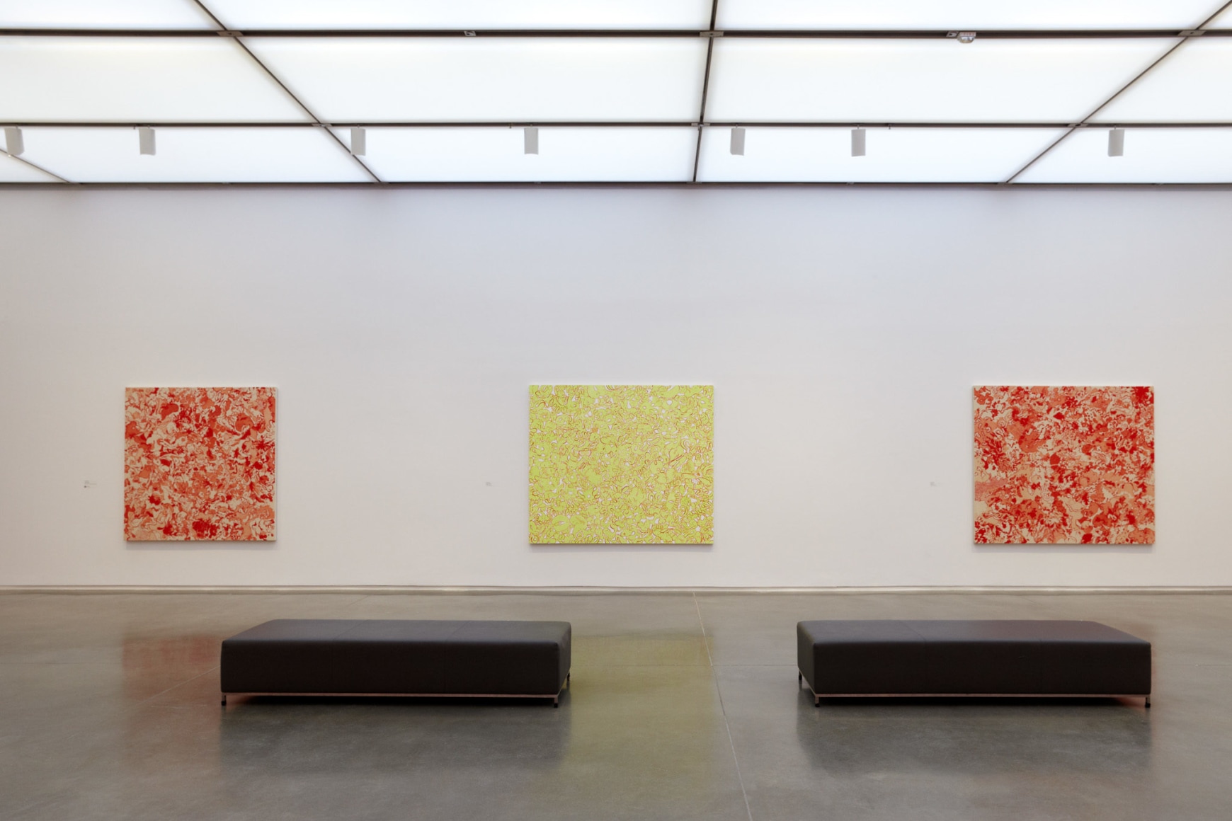 Sue Williams, Installation view: Figuring Color, ICA, Boston, 2012