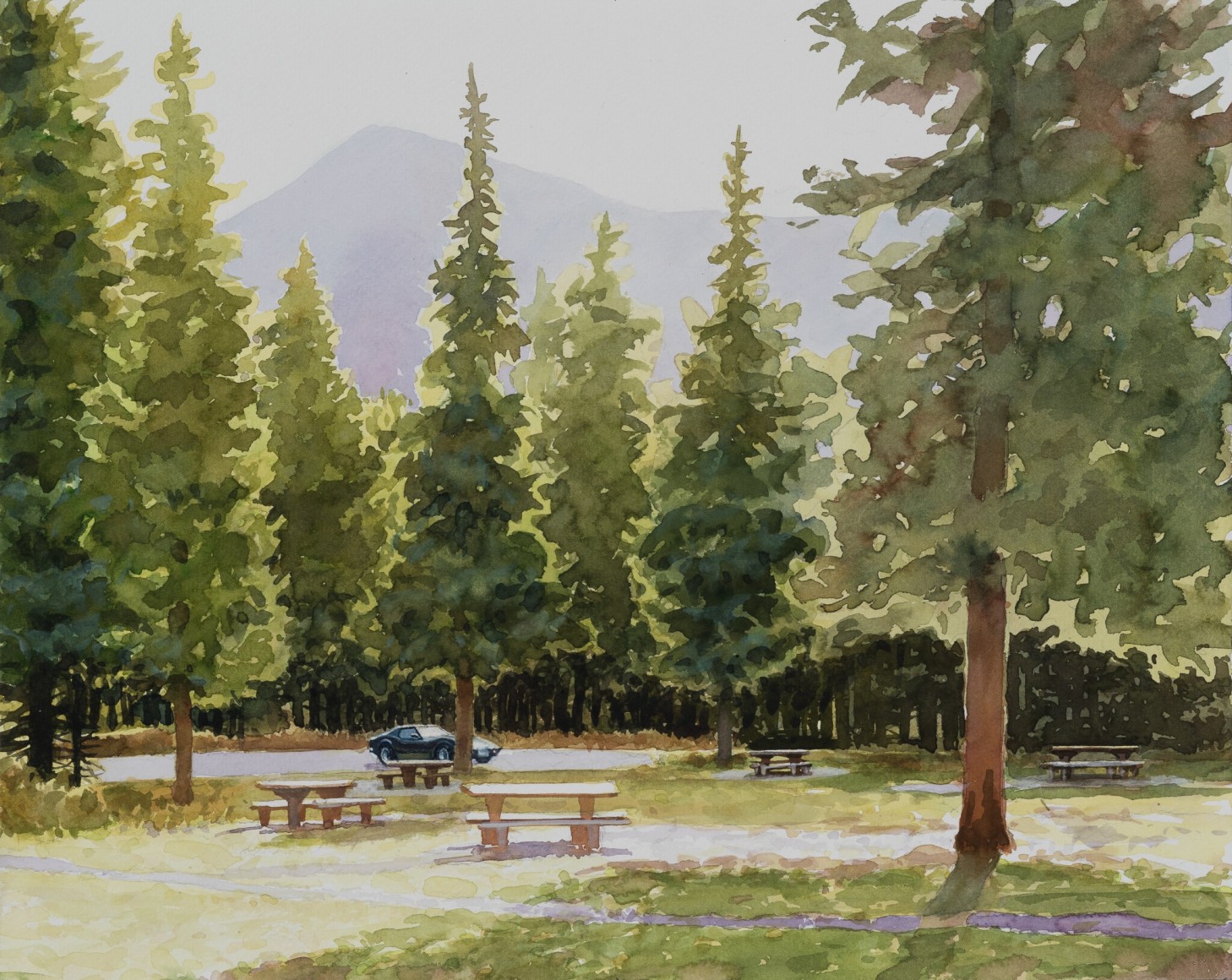 Tim Gardner, Picnic Area
