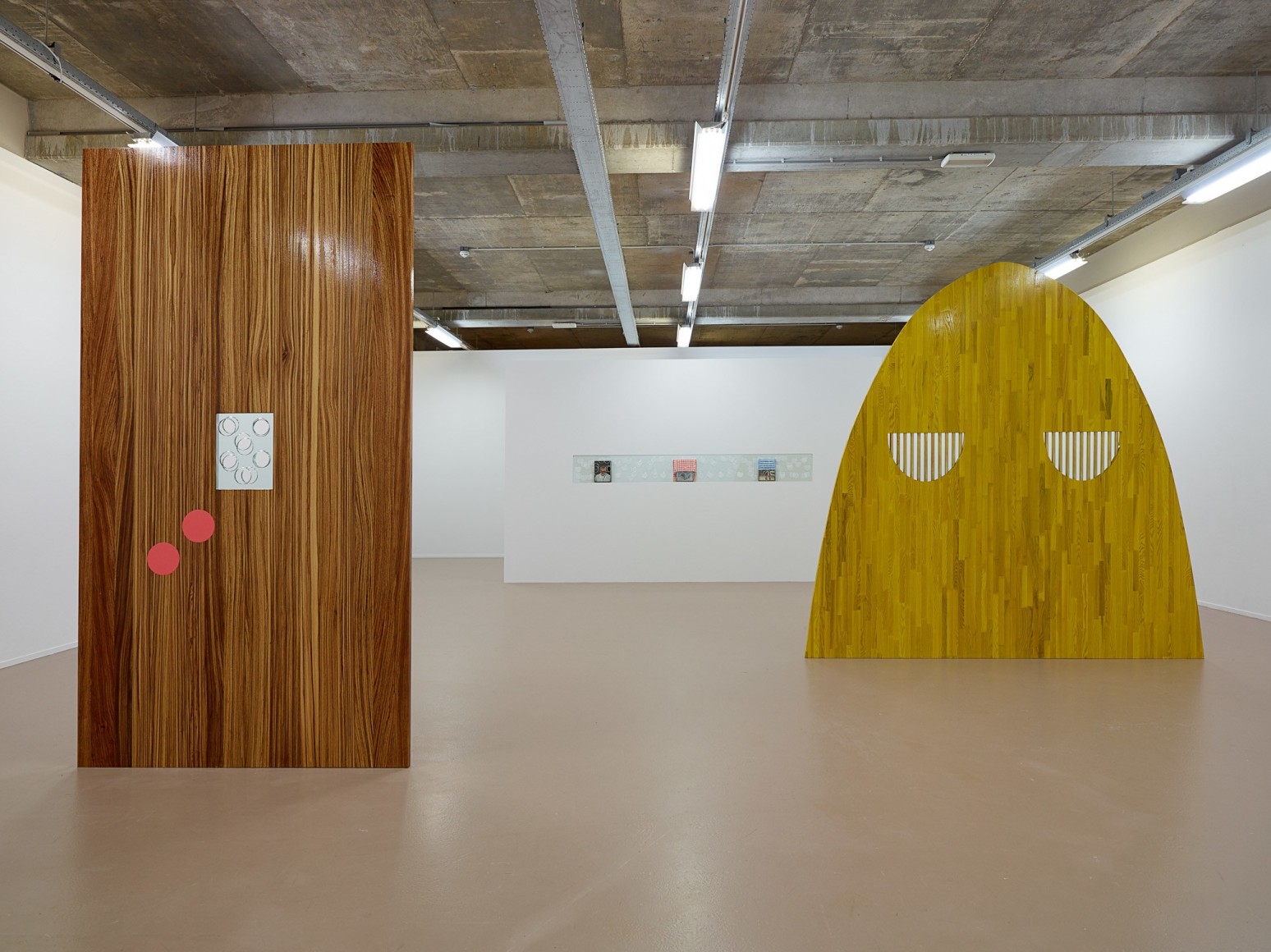 Elad Lassry, Installation view: Sensory Spaces 3, Museum Boijmans Van Beuningen, Rotterdam, 2014