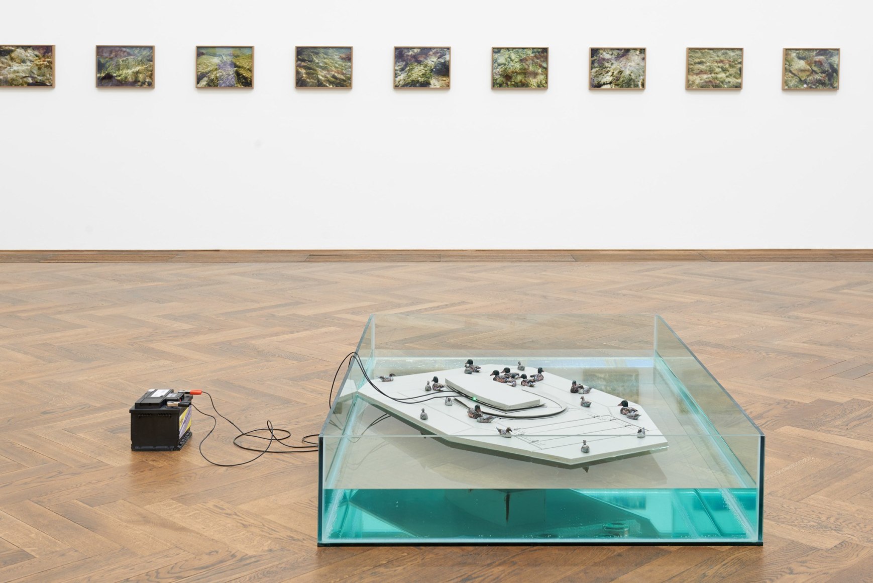 Marina Pinsky, Installation view: Dyed Channel, Kunsthalle Basel, 2016