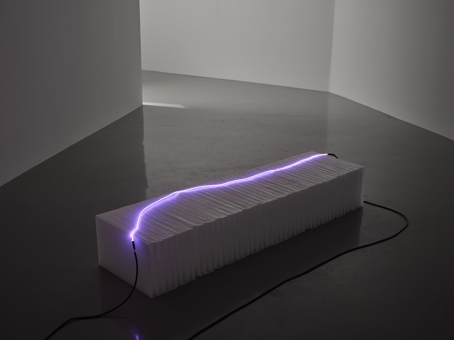 Sam Falls, Untitled (Antarctic Body), 2018, Argon, glass, wax, electrical components