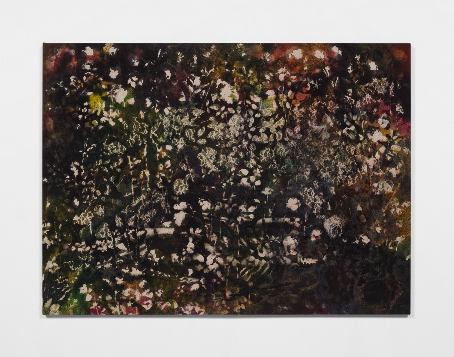 Sam Falls, Forest Floor