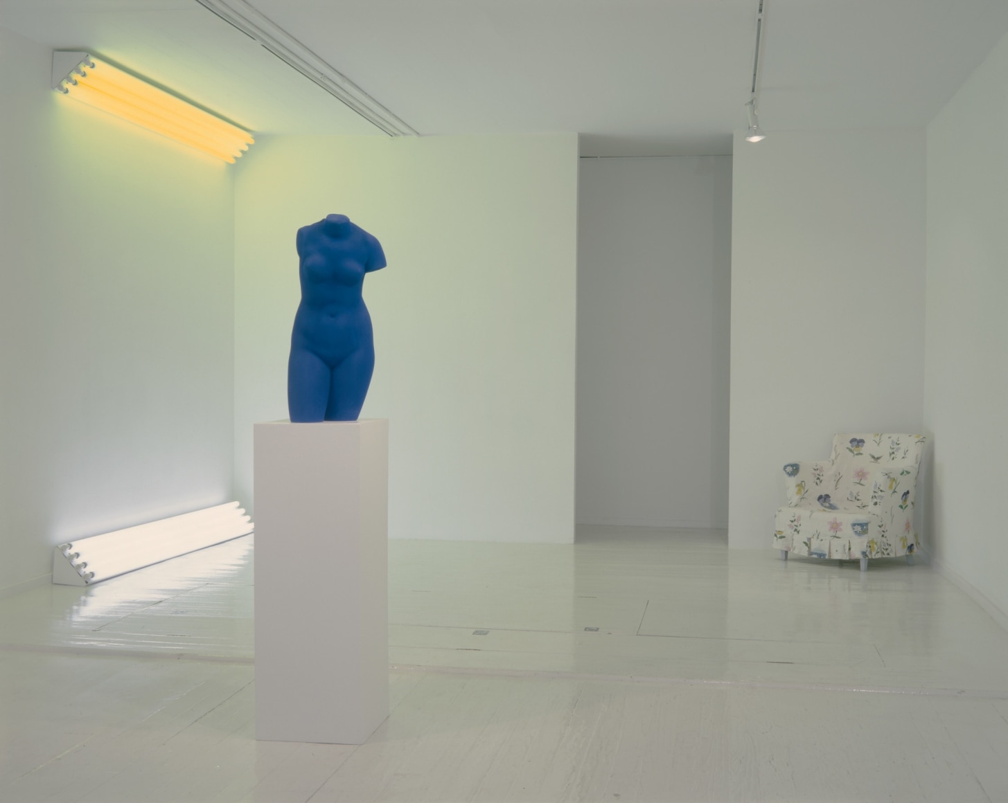 Dan Flavin, Robert Gober, Yves Klein,, An Installation