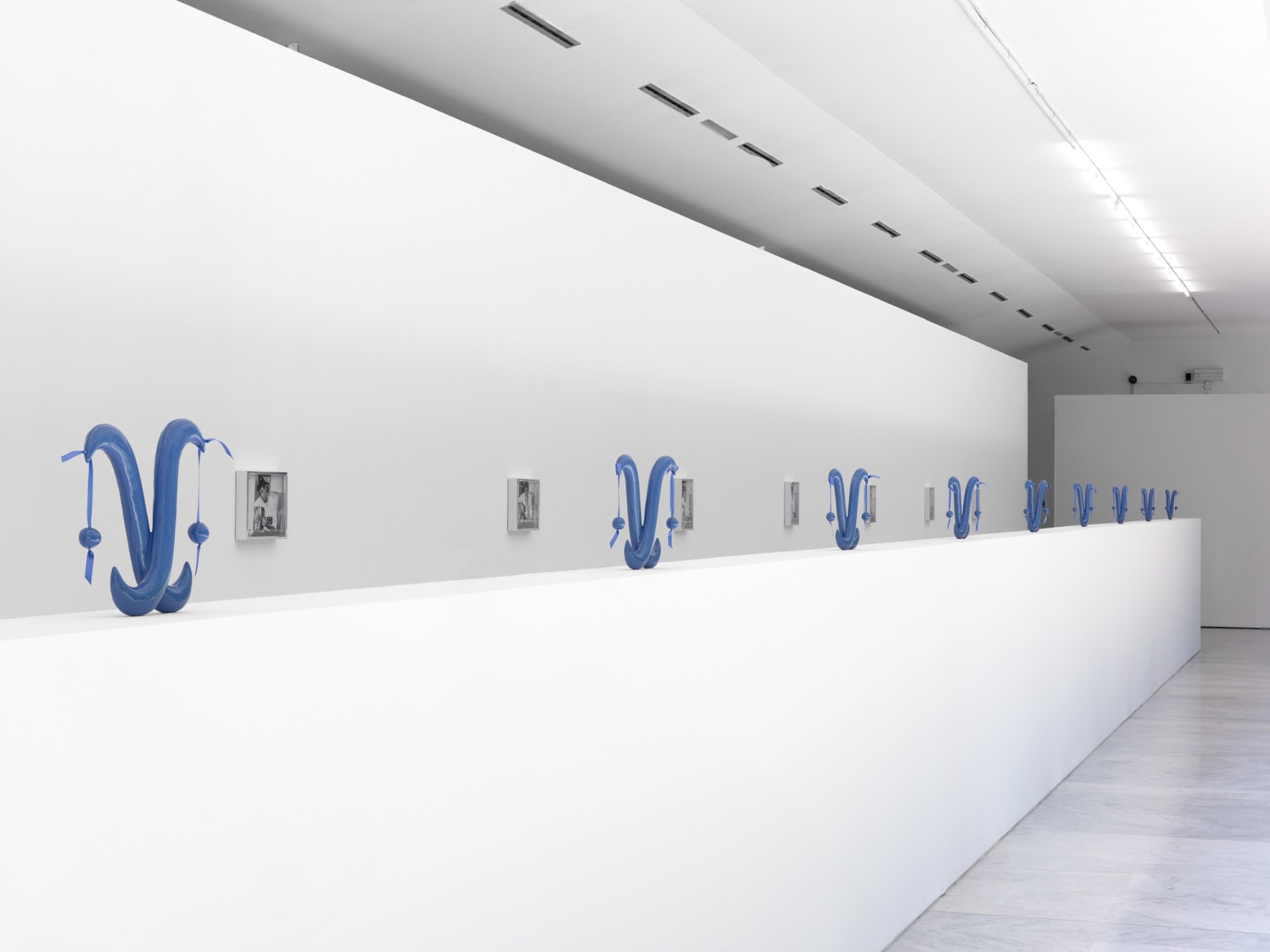 Elad Lassry, Installation view: Padiglione d’Arte Contemporanea, Milan, 2012